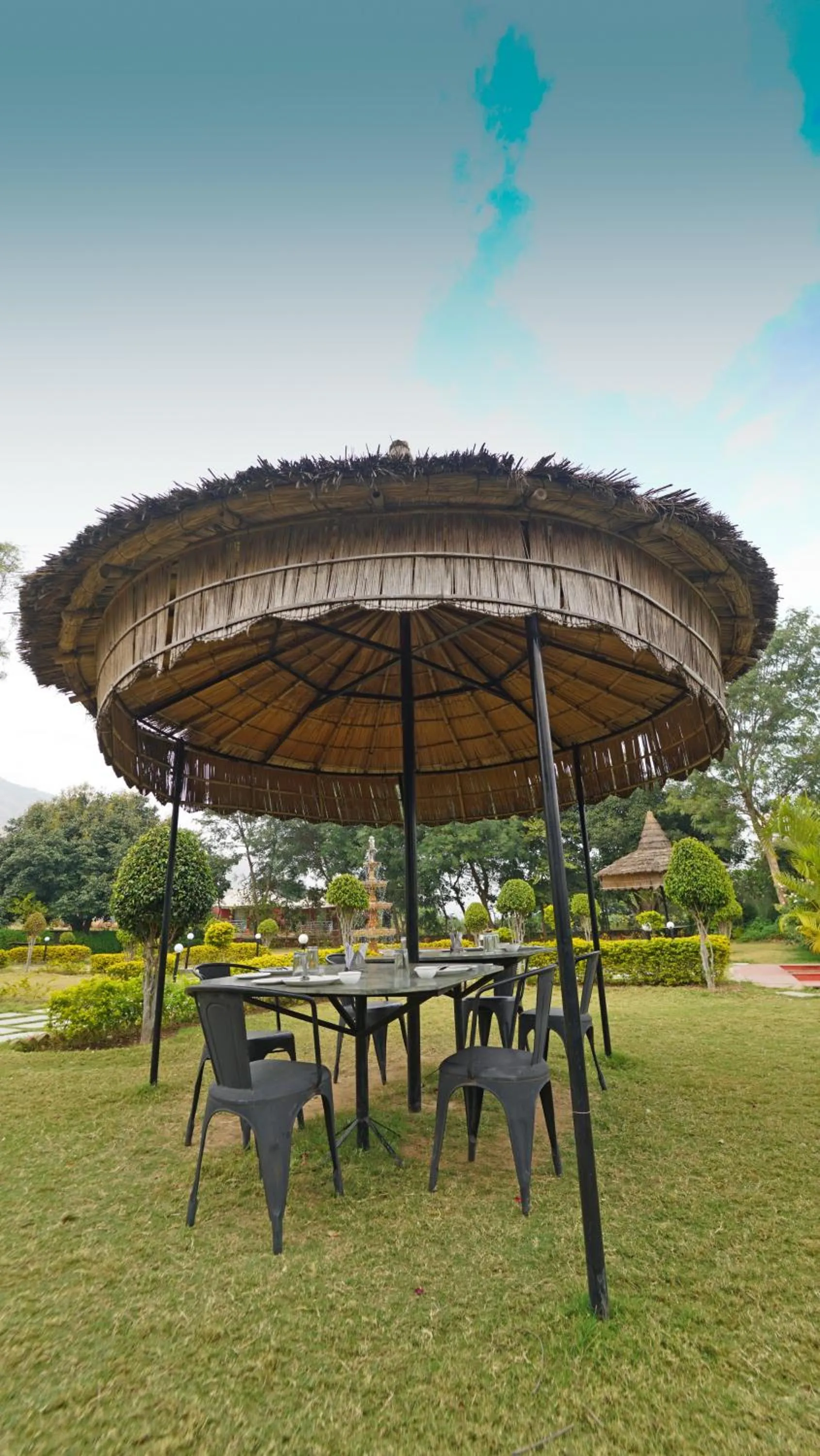 Natural landscape in The Lal Bagh