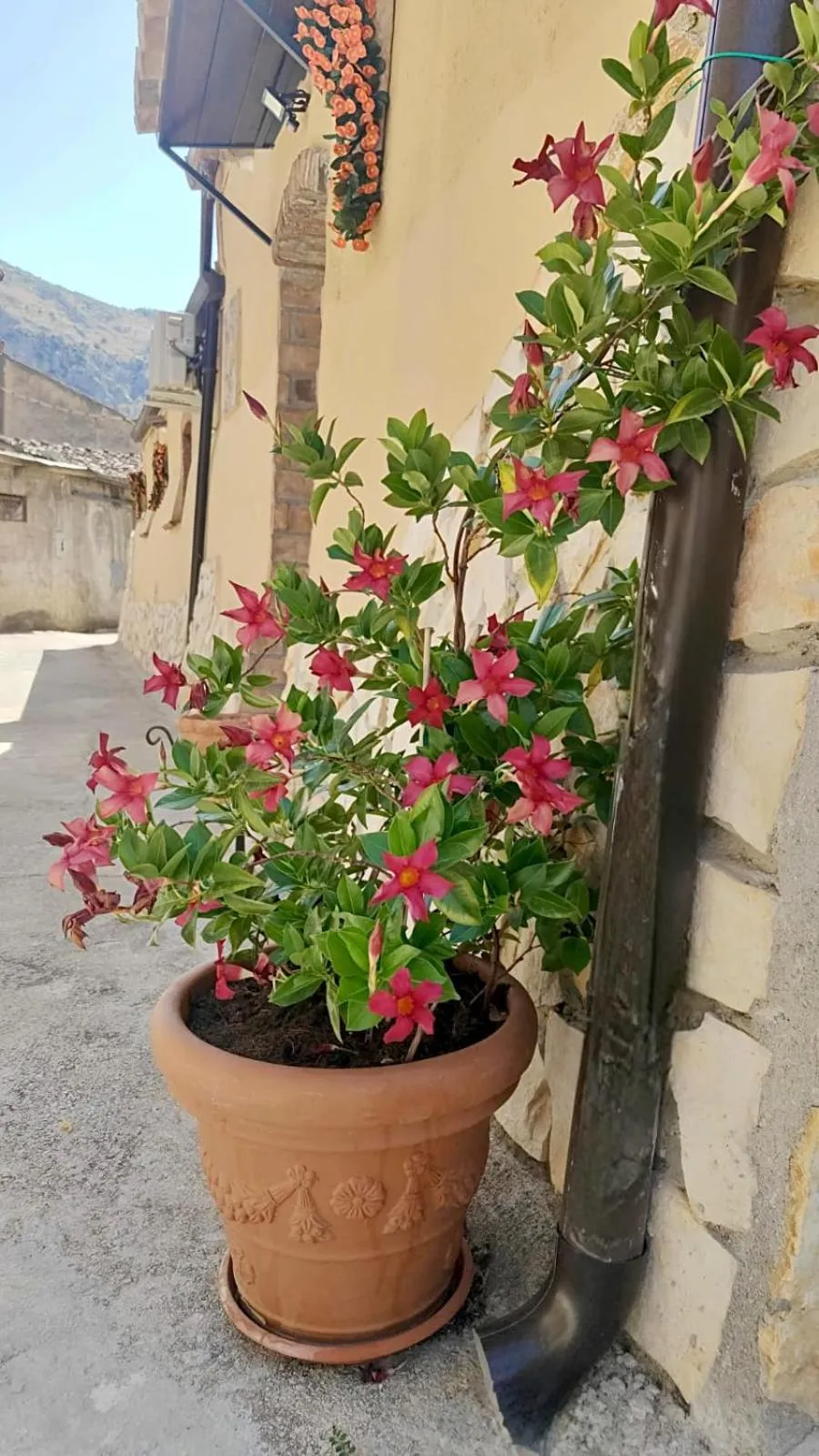 Property building in Il Vicoletto