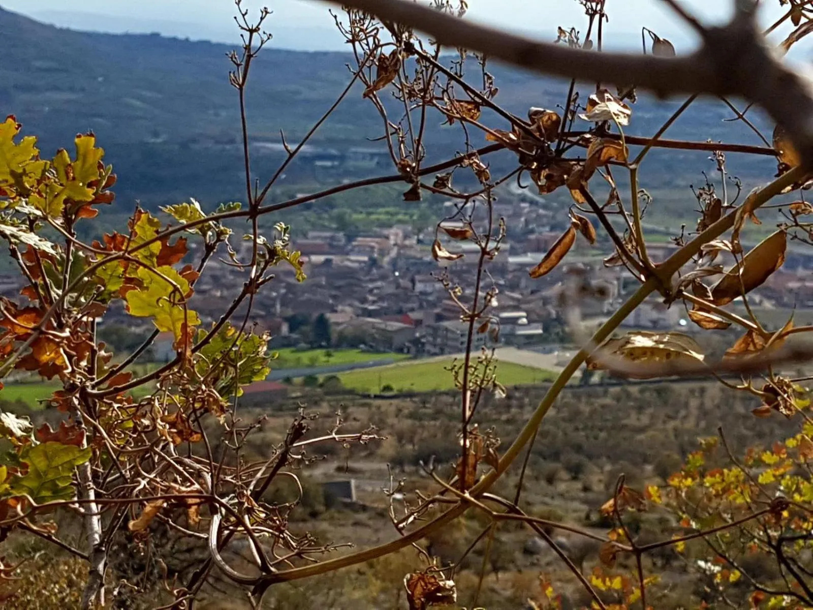 Hiking in Il Vicoletto