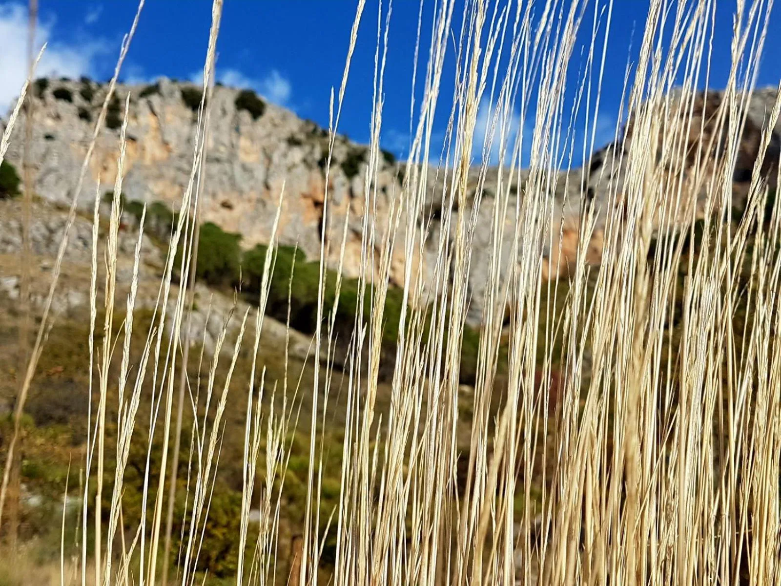 Nearby landmark in Il Vicoletto