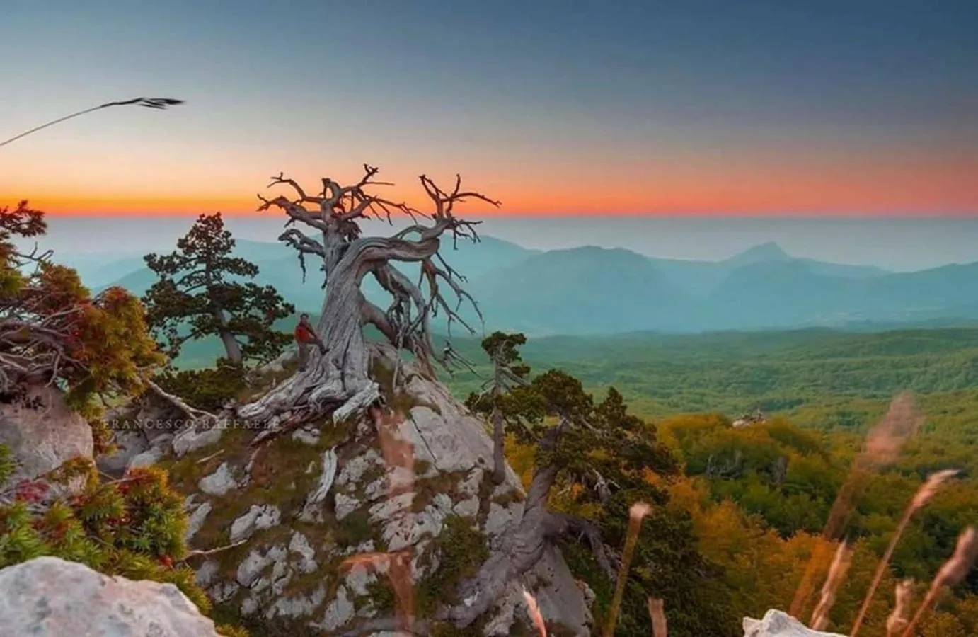 Natural landscape in Il Vicoletto