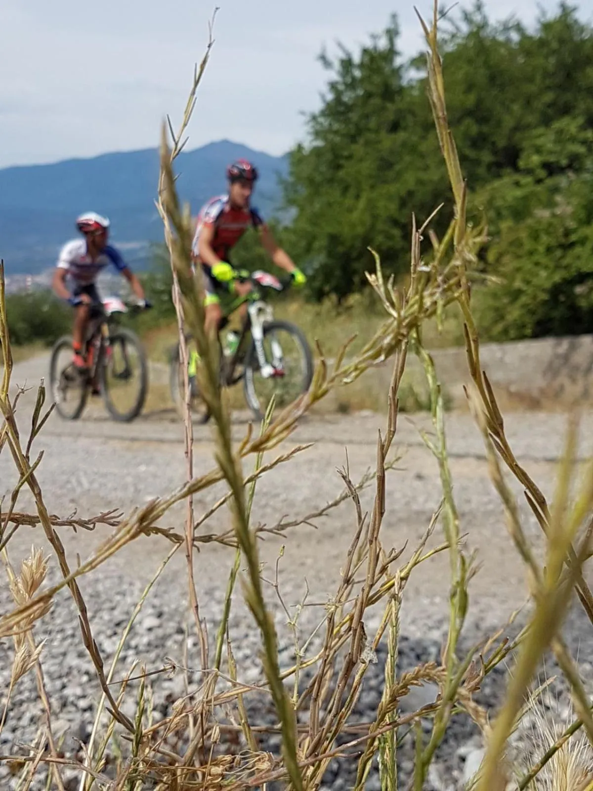 Cycling in Il Vicoletto
