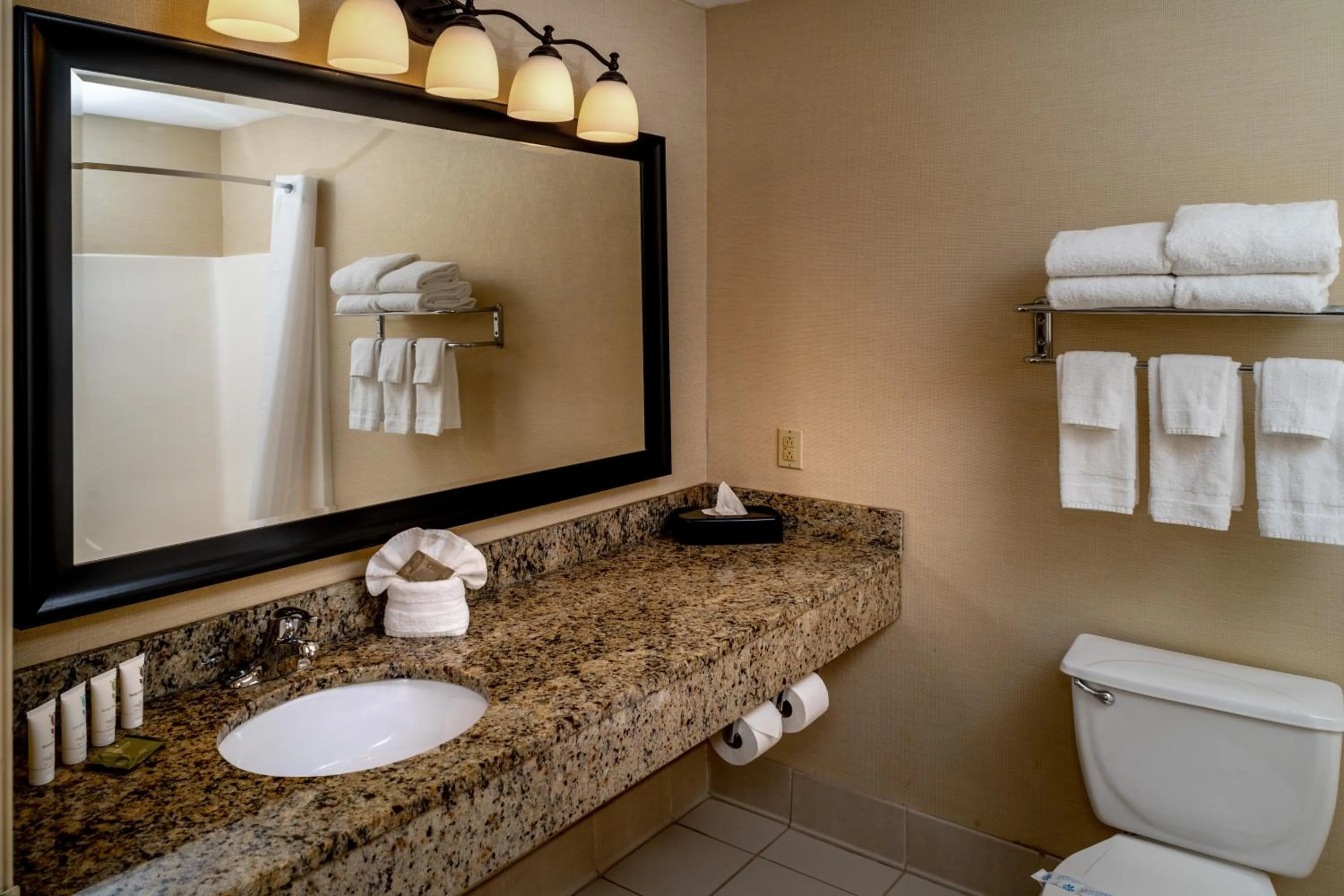Bathroom in Country Inn & Suites By Radisson, Charleston South, WV