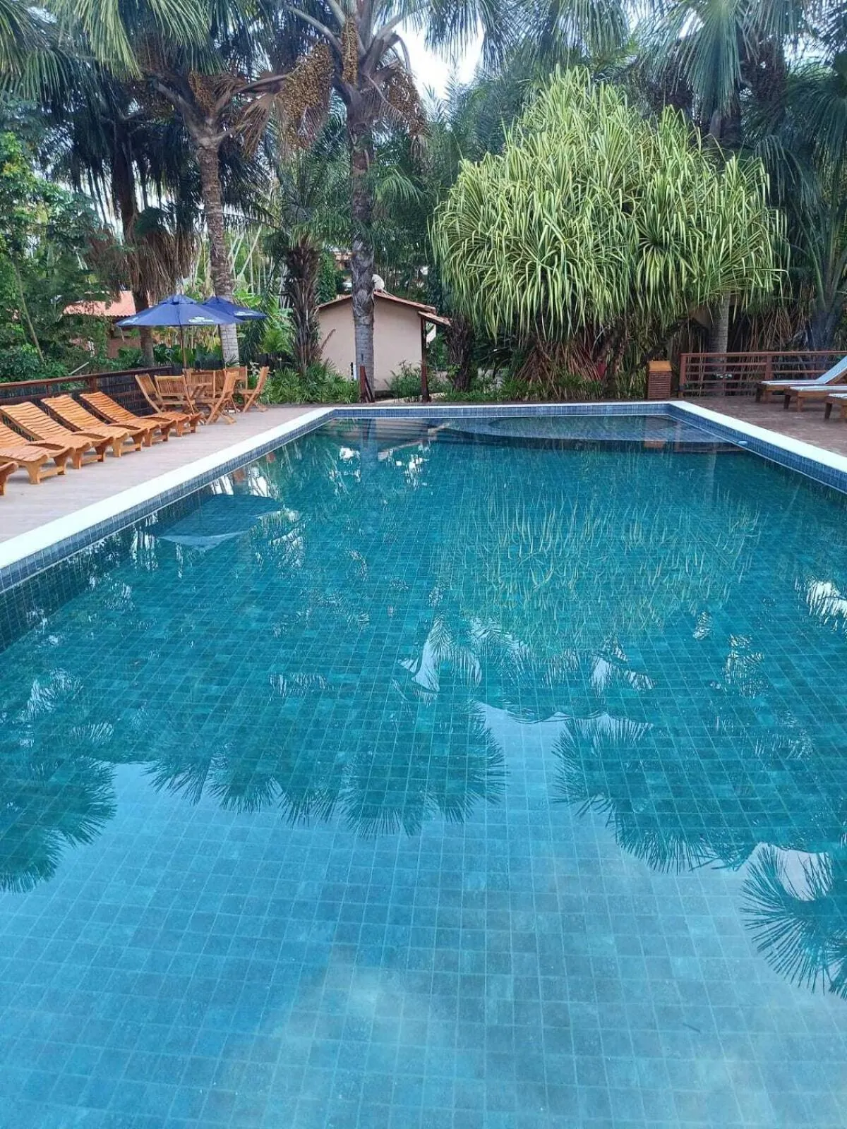 Swimming pool in Encantes do Nordeste