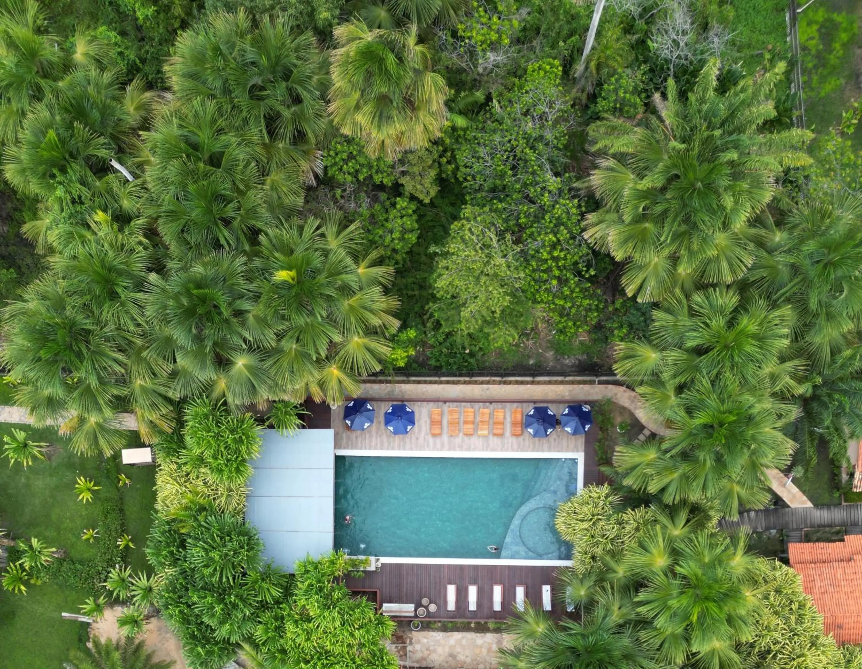 Swimming pool in Encantes do Nordeste