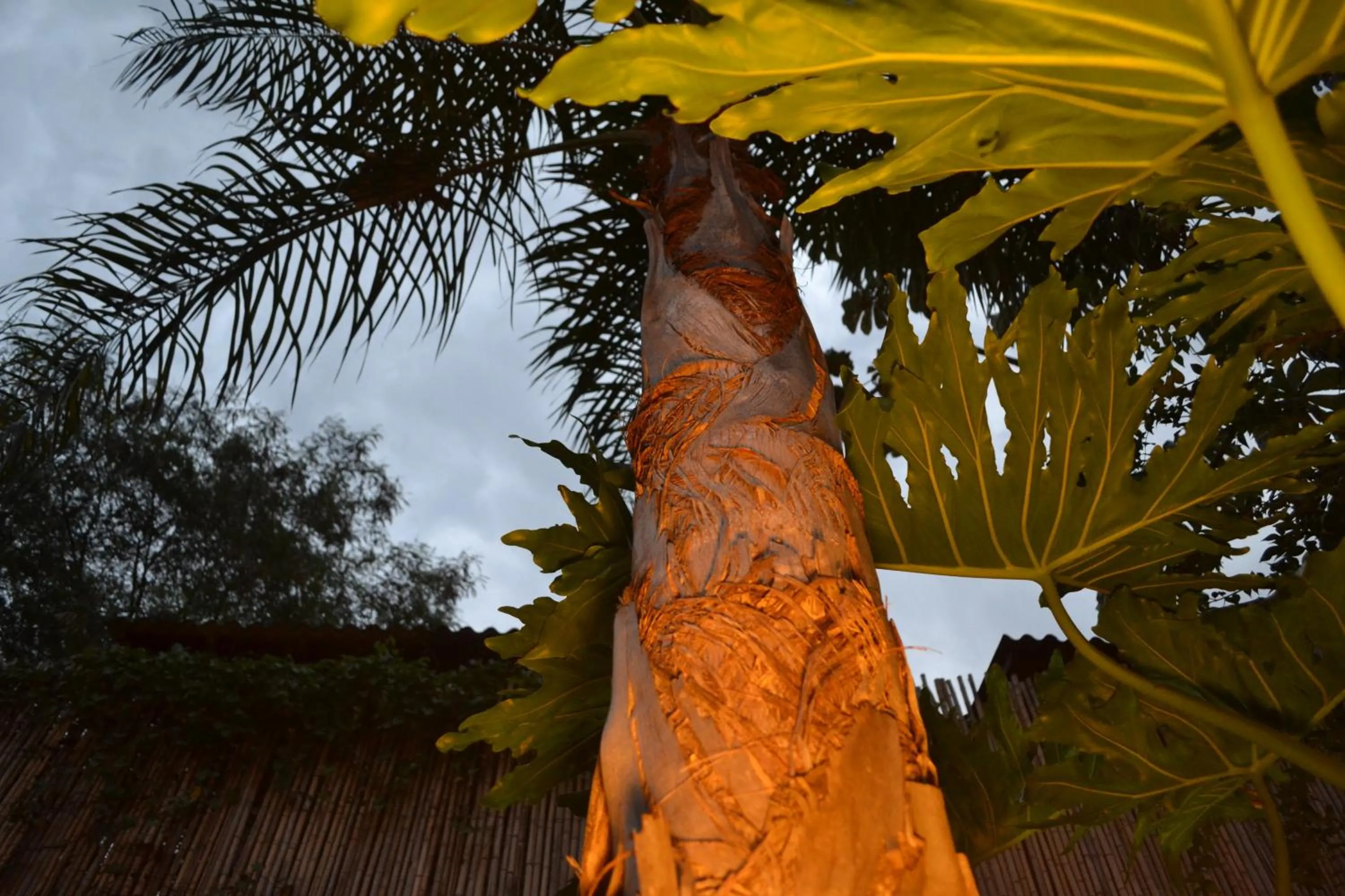 Other in Passaros Suite Hotel