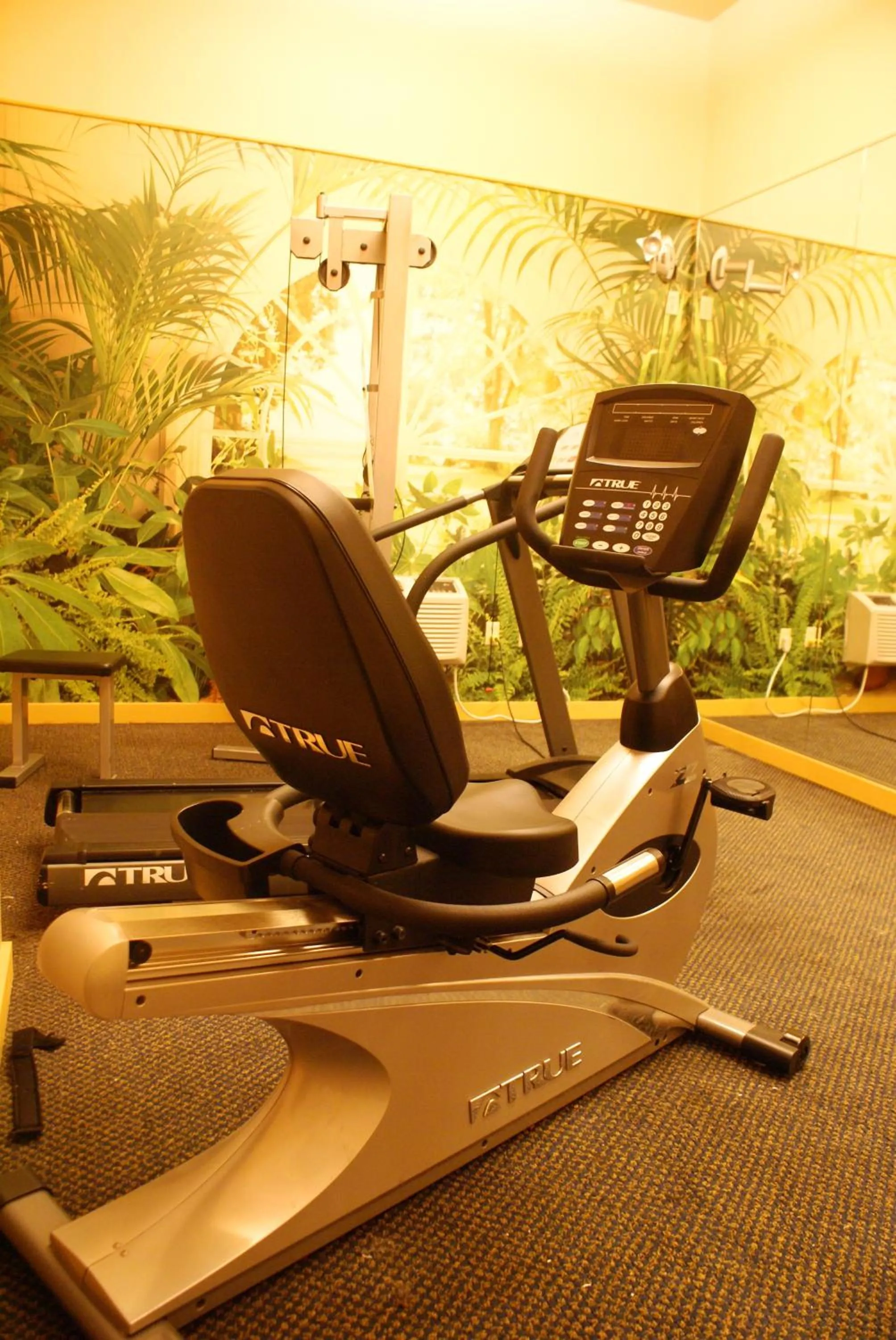 Fitness centre/facilities in Raritan Hotel