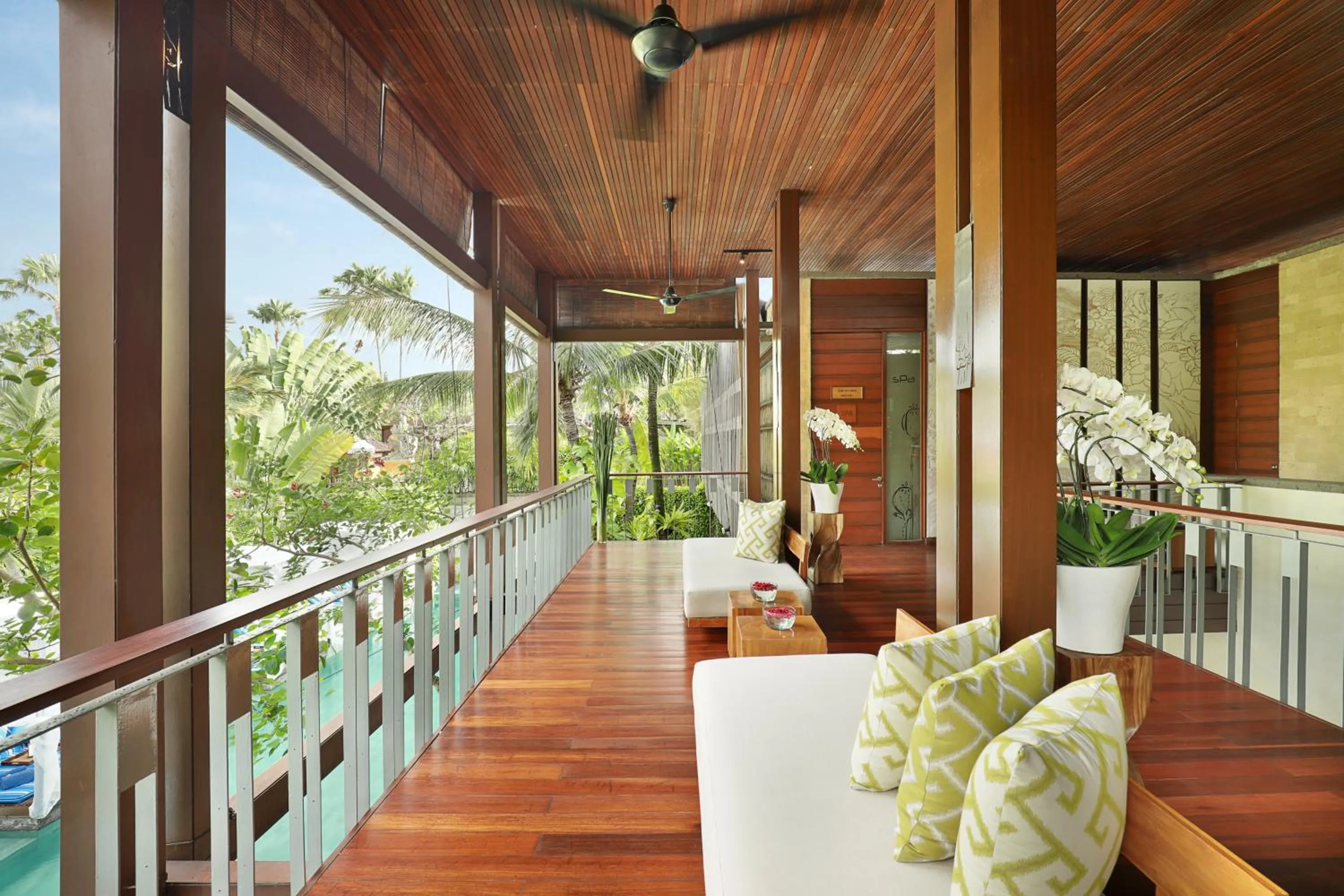 Area and facilities in The Elysian Boutique Villa Hotel