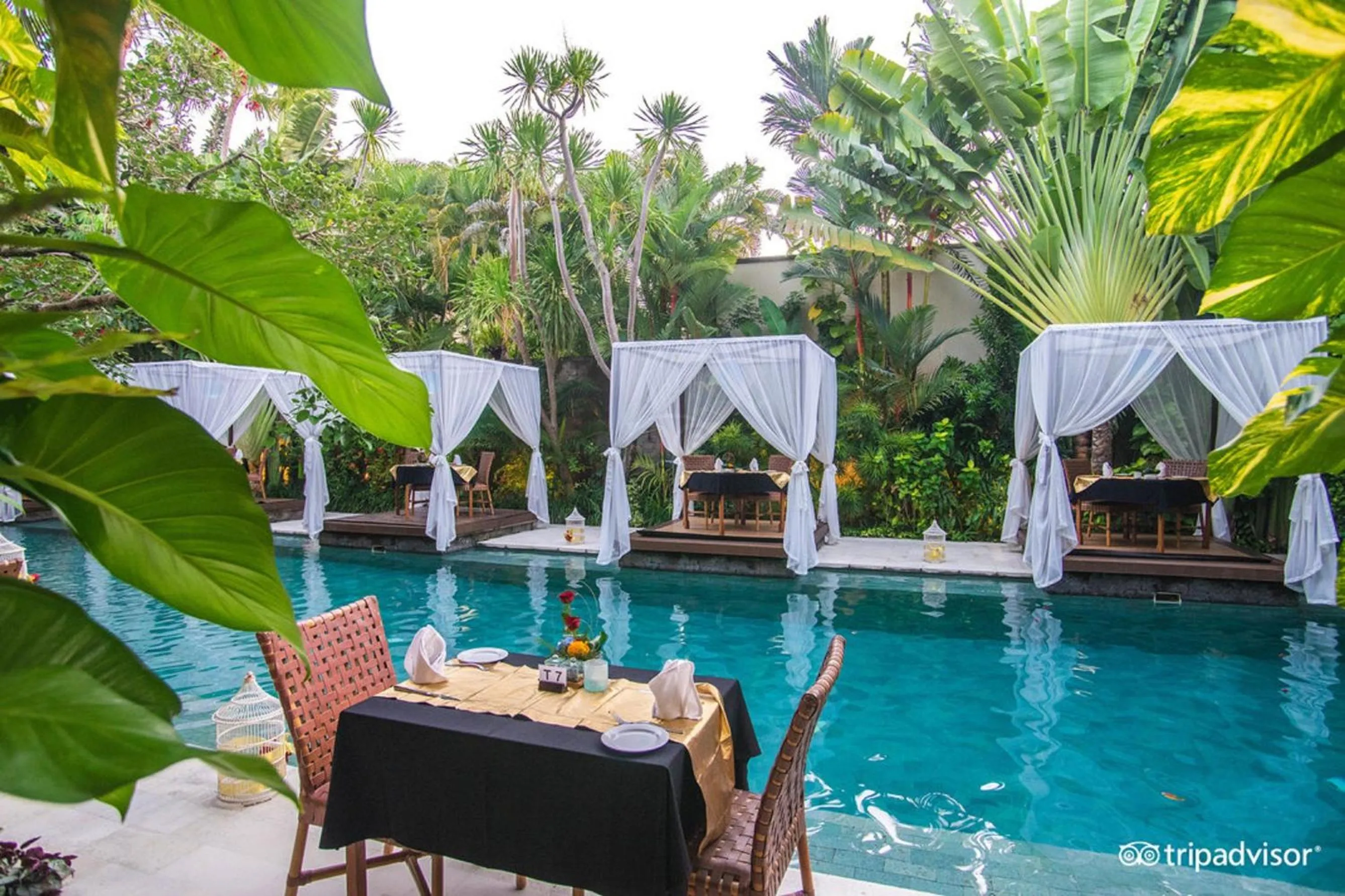 Restaurant/places to eat in The Elysian Boutique Villa Hotel