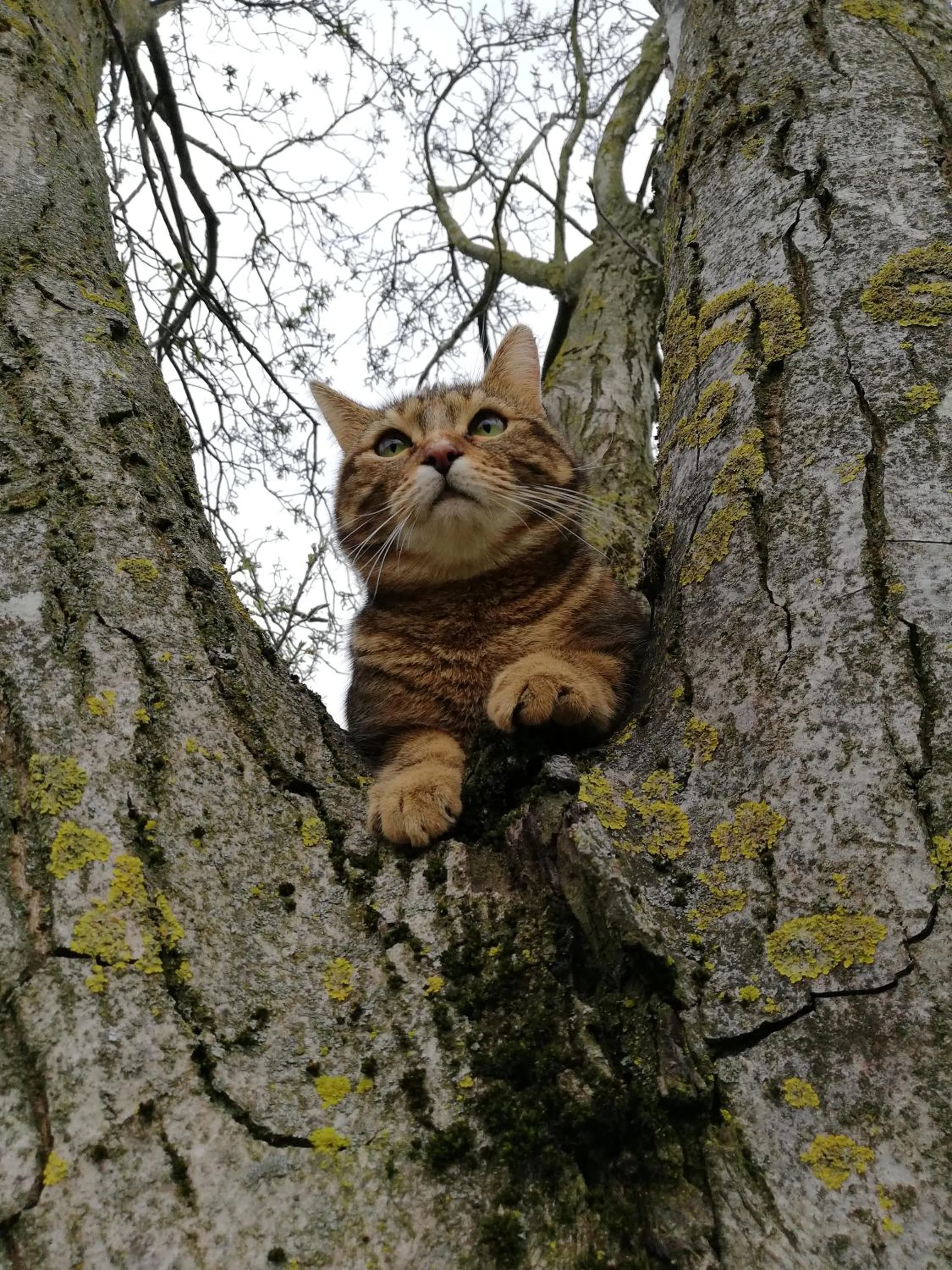 Zucchero sui Baffi- Food Lovers B&B