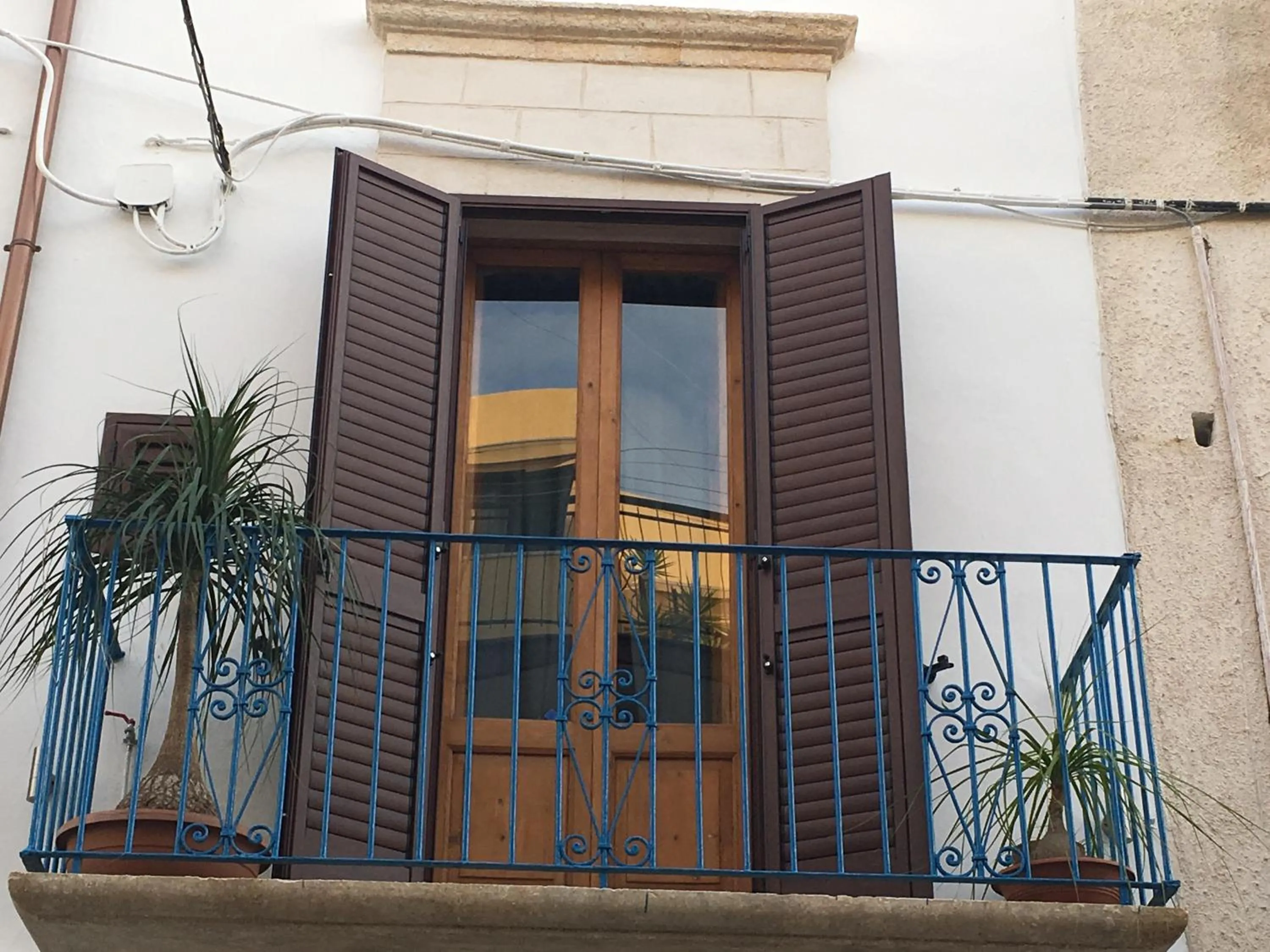 CIVETTHOUSE : la casa delle civette