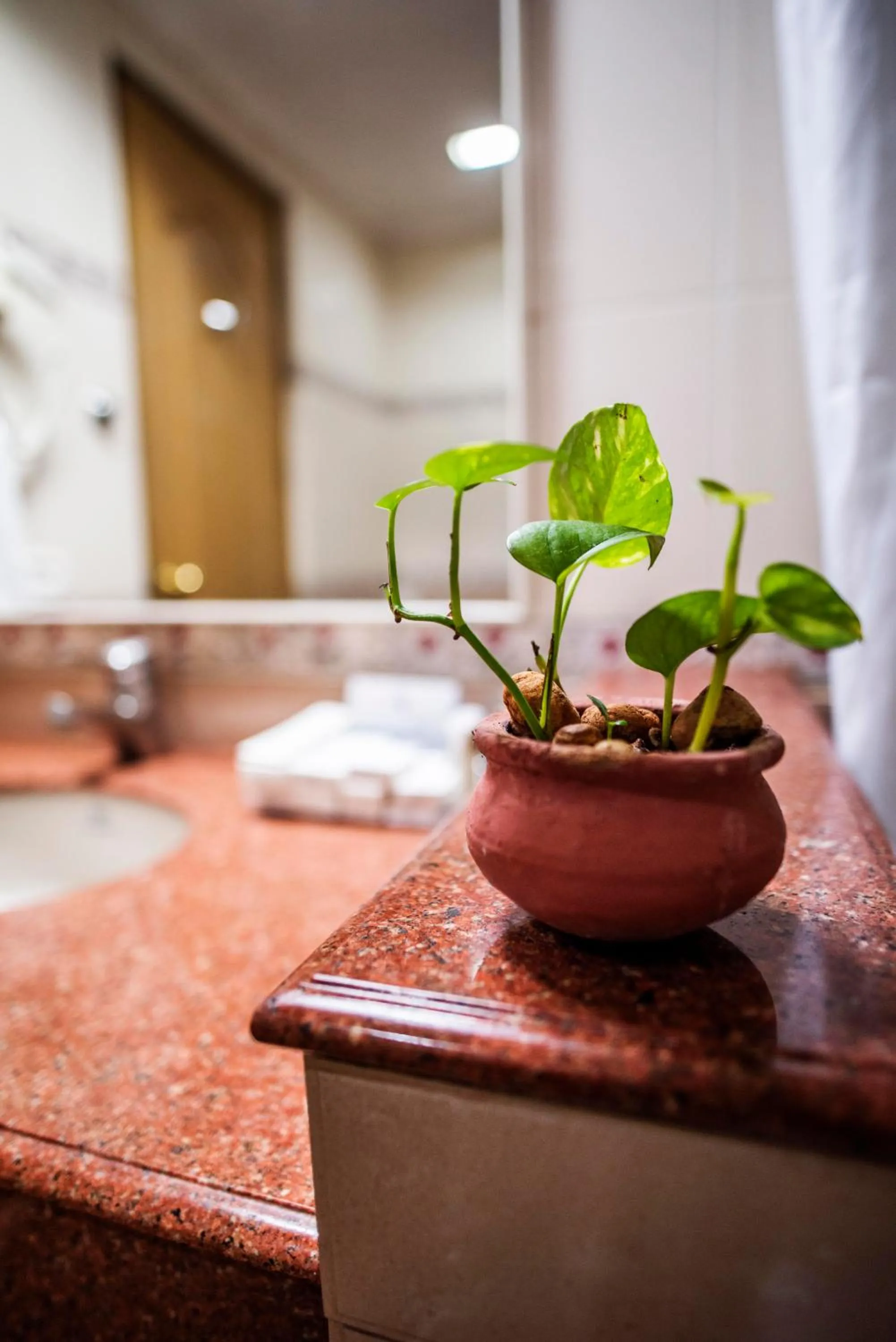 Bathroom in Abad Plaza