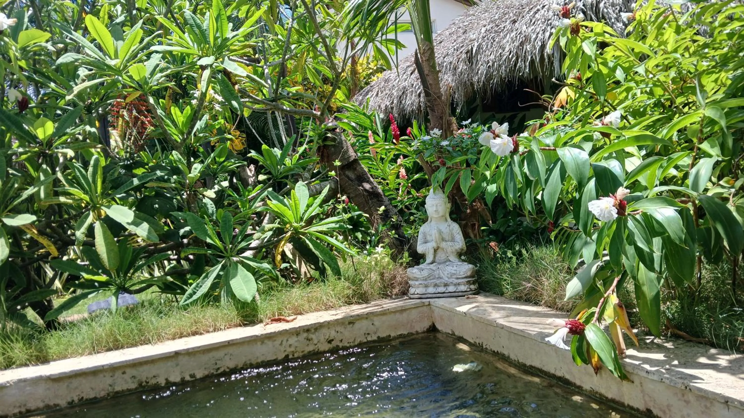 Garden in Casa Picaflor B&B