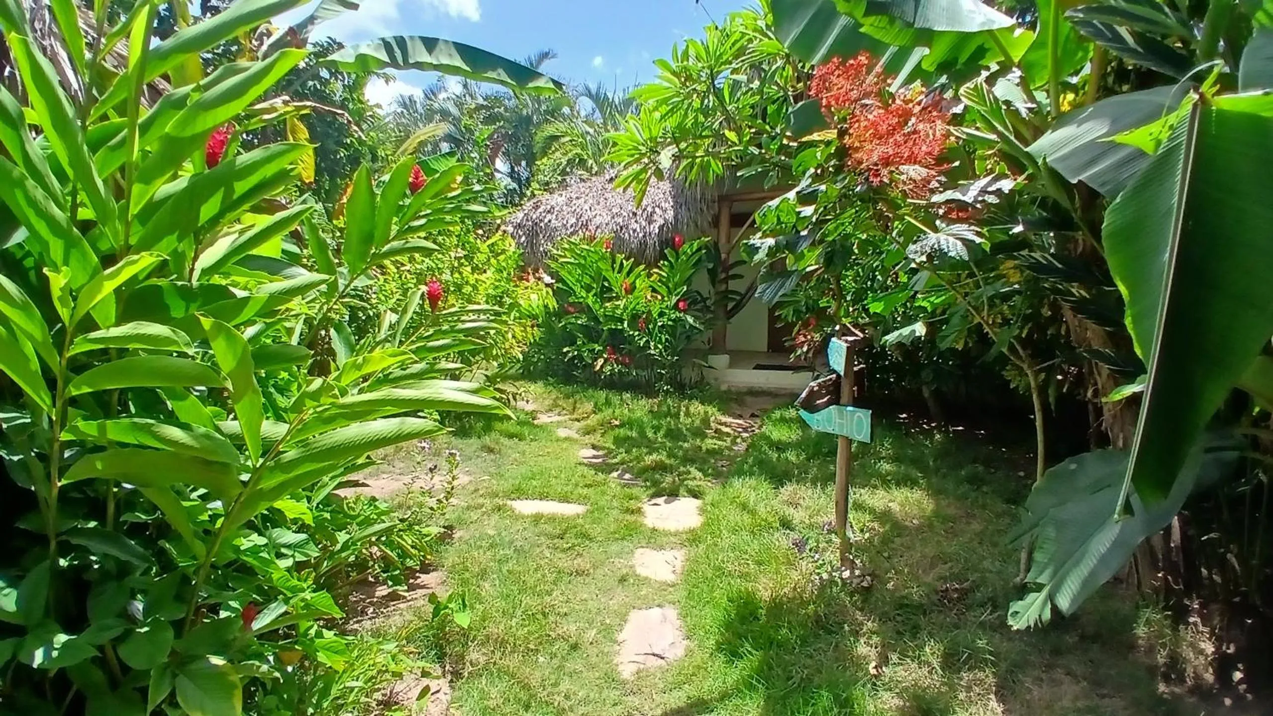Garden in Casa Picaflor B&B