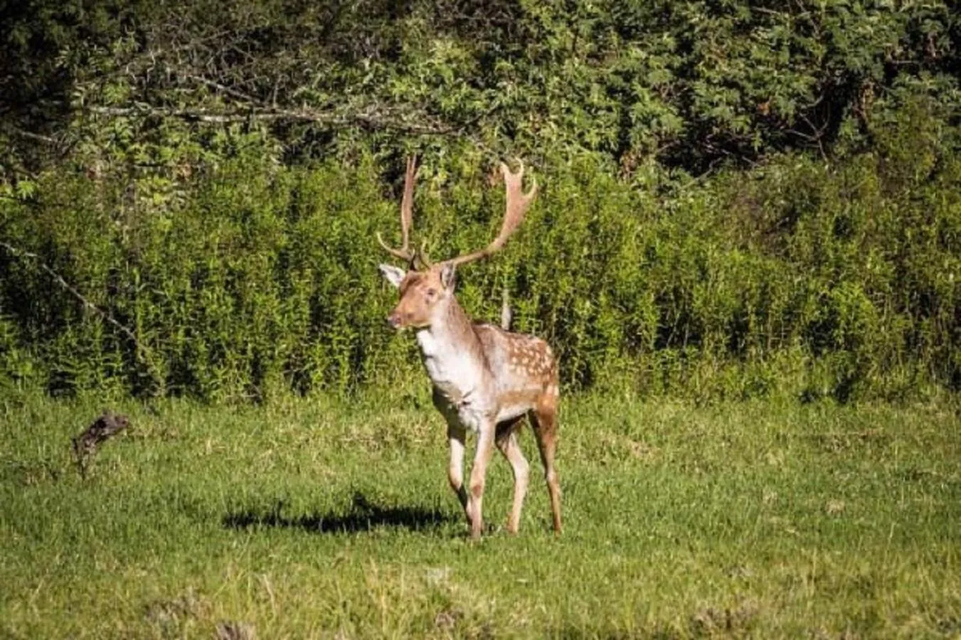 Natural landscape in Old Mill Lodge, Seasonal Working Ostrich Farm & Restaurant, Oudtshoorn