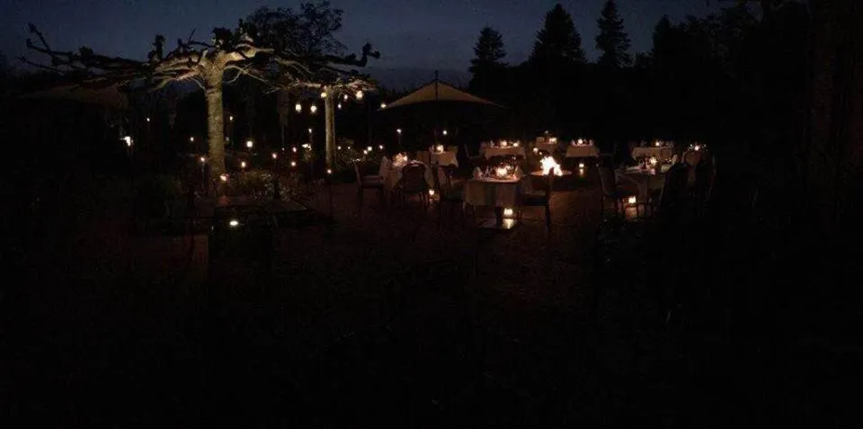 Garden view in Haus Mühlenbrock