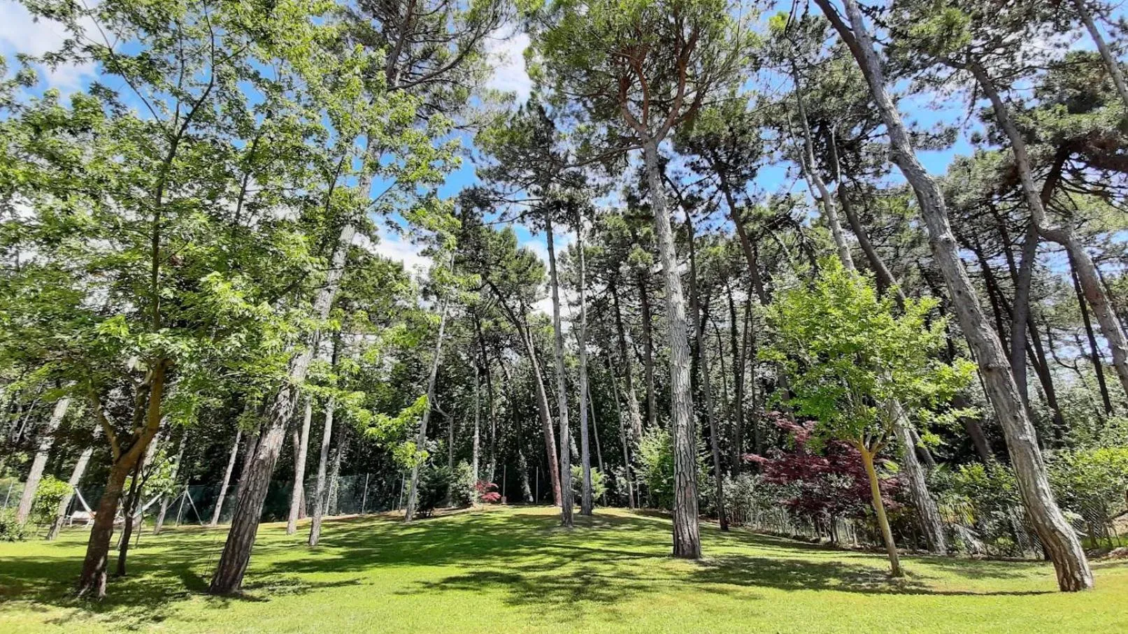 Garden in Hotel & Wellness Fra I Pini