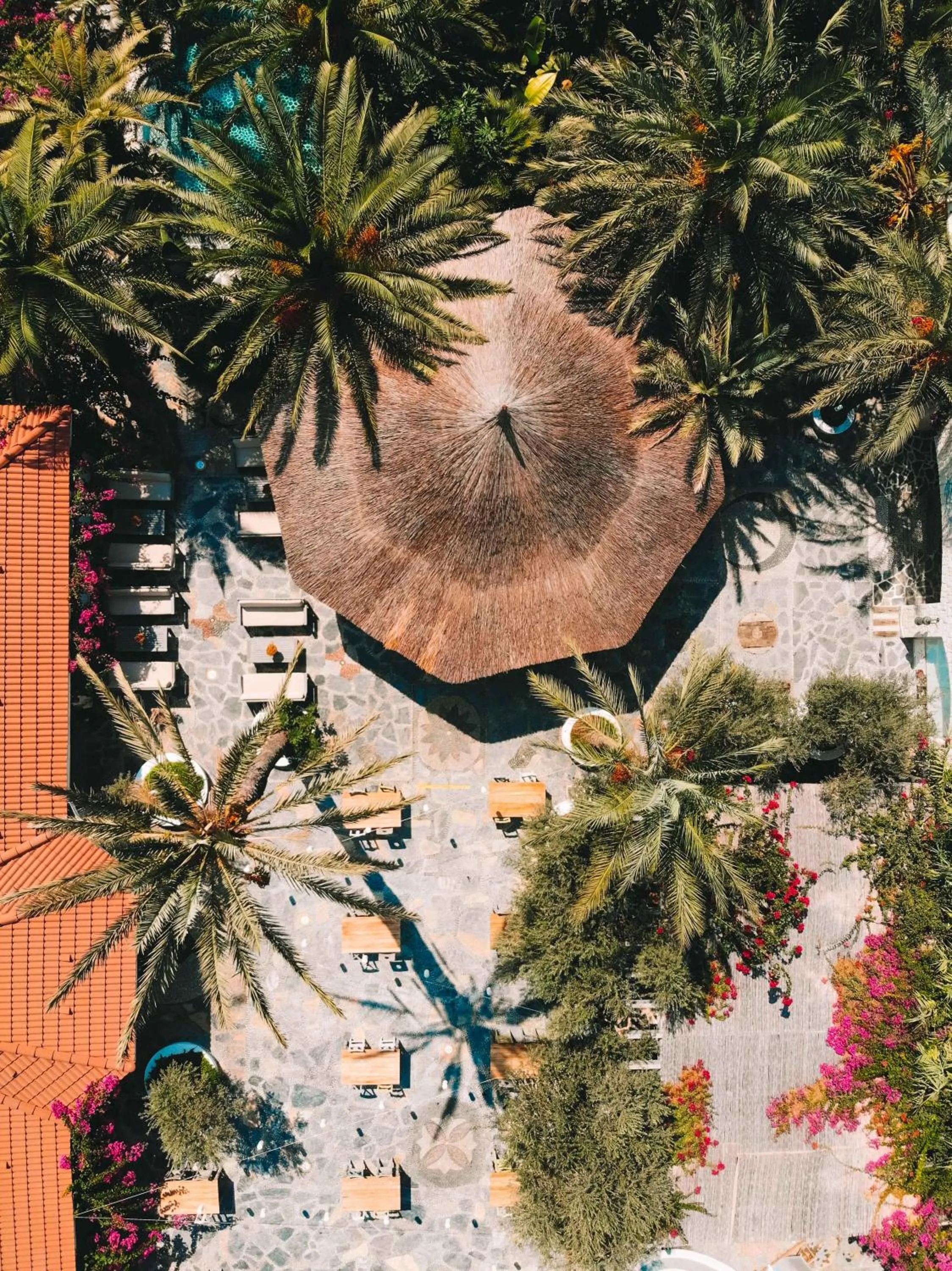 Inner courtyard view in Flamingo Hotel & Spa - Pet Friendly