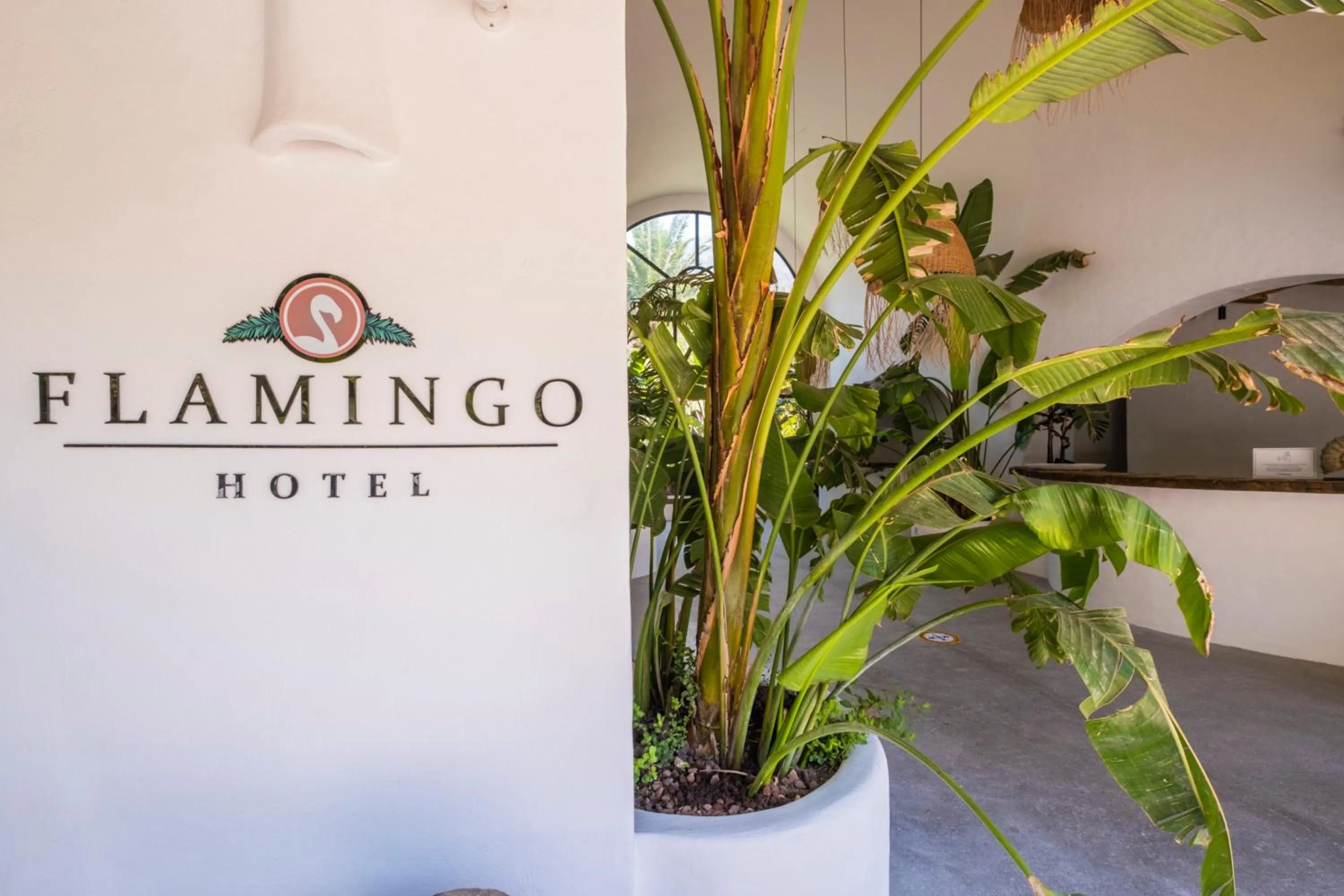 Lobby or reception in Flamingo Hotel & Spa - Pet Friendly