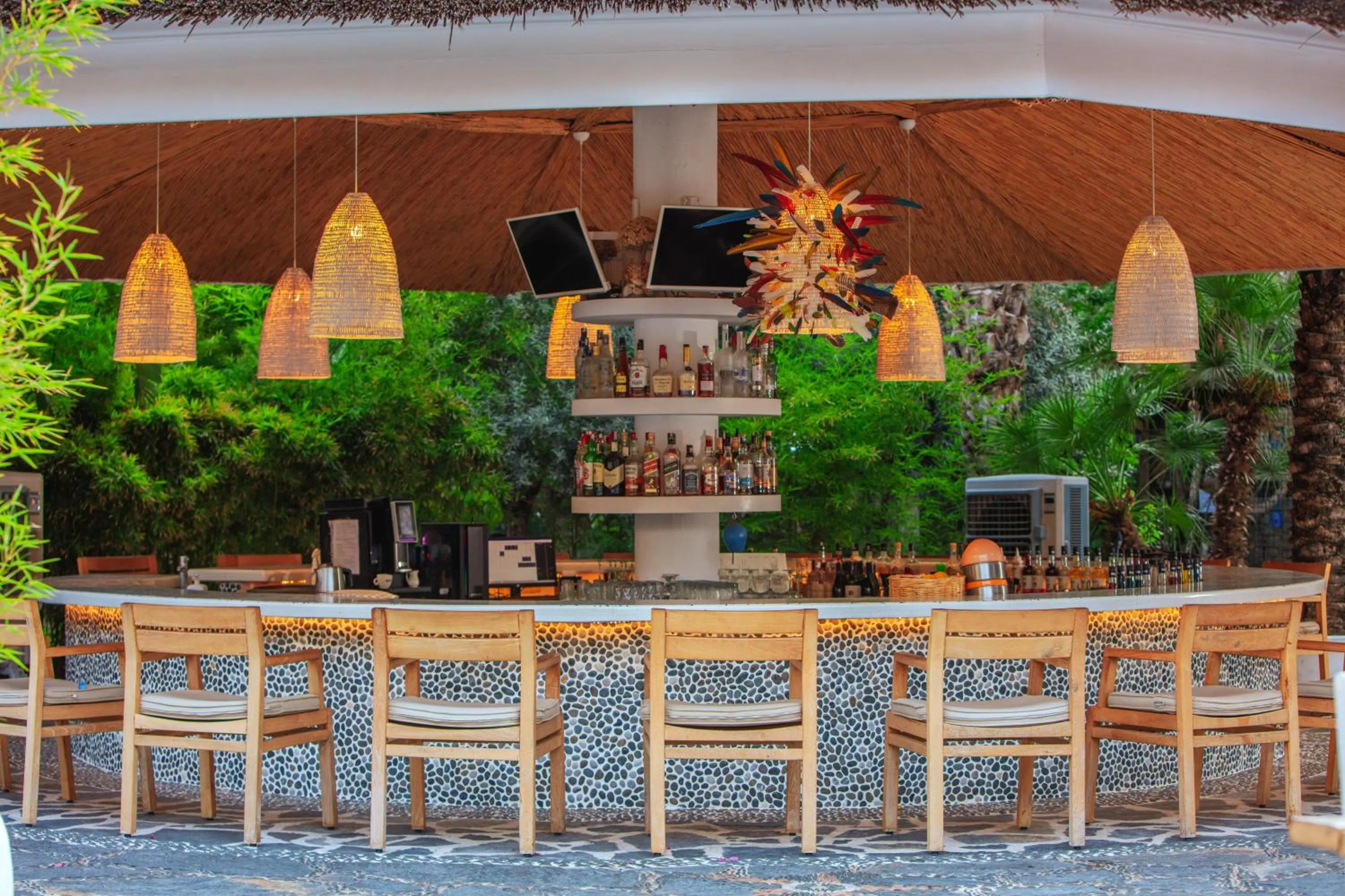 Lounge or bar in Flamingo Hotel & Spa - Pet Friendly