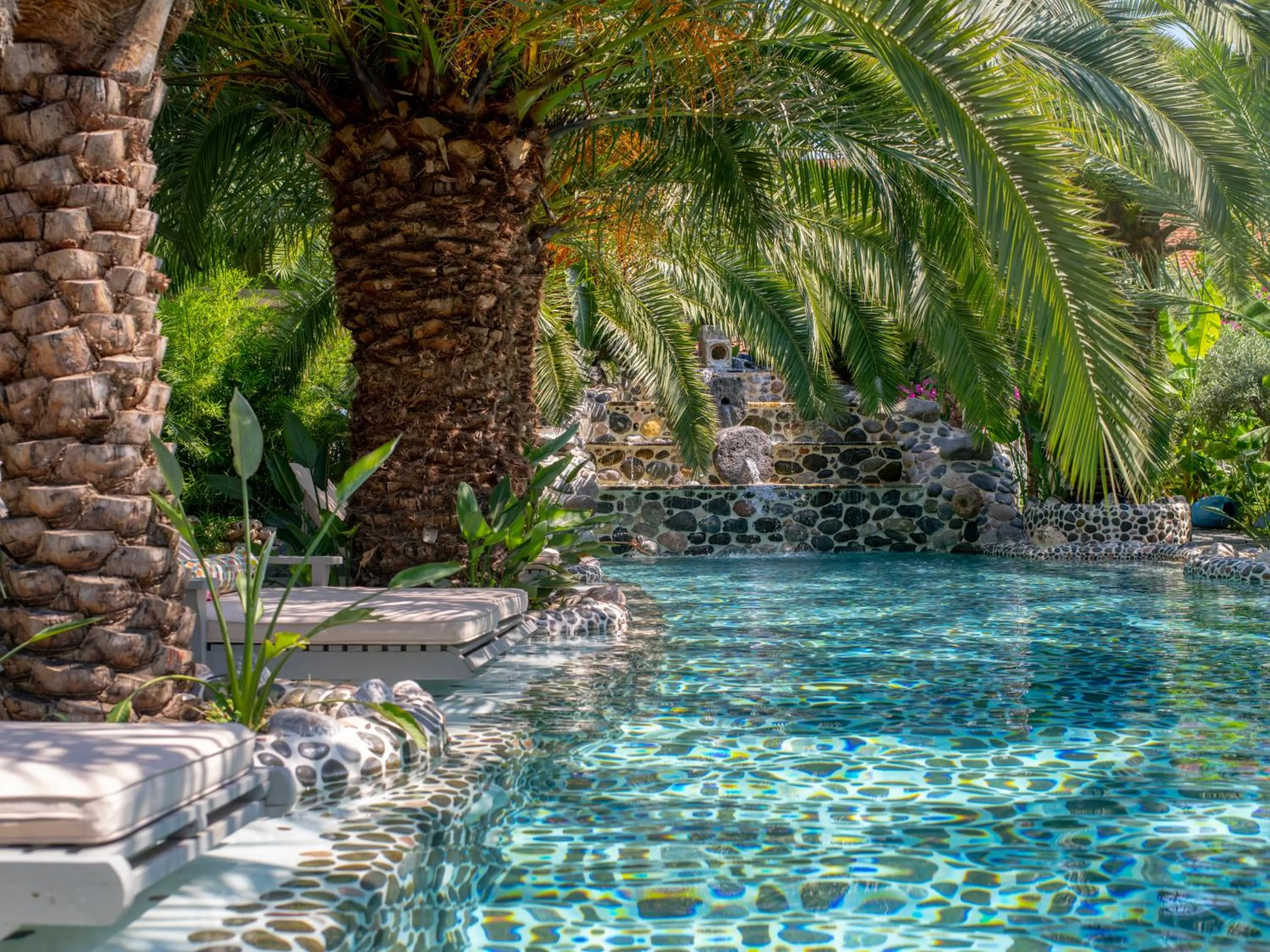 Pool view in Flamingo Hotel & Spa - Pet Friendly