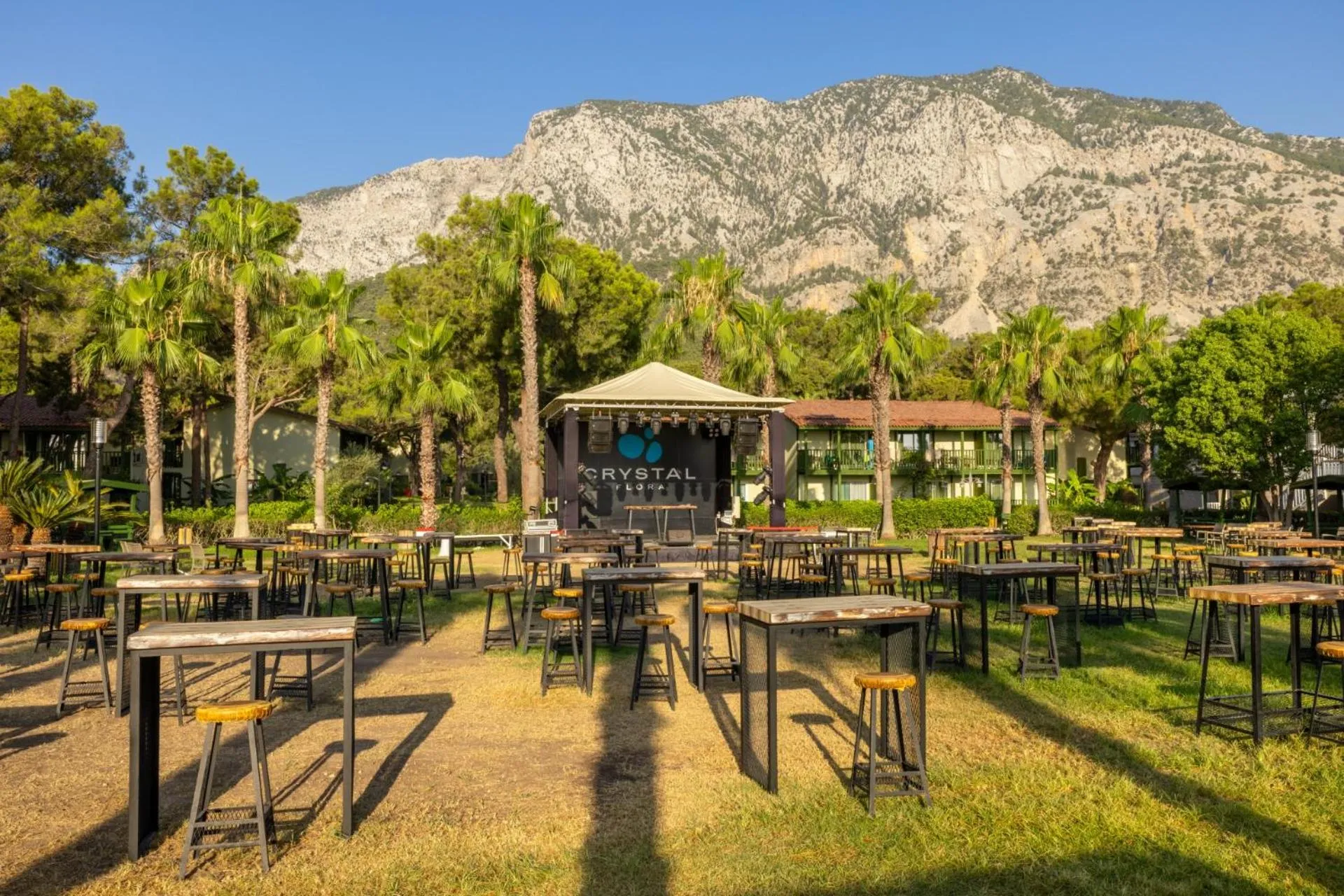 Activities in Crystal Flora Pearl Collection - Ultimate All Inclusive