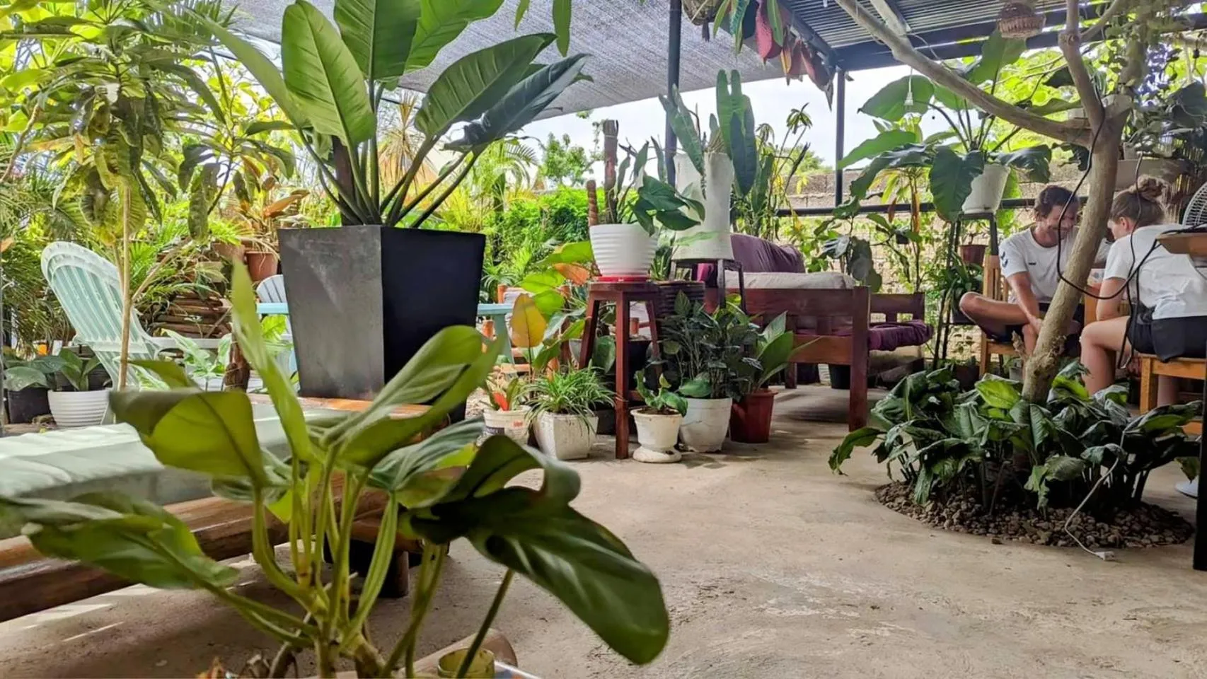 UNK'S HOUSE HOMESTAY