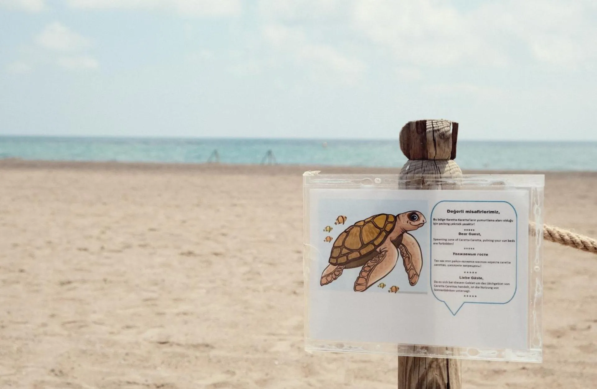 Beach in Crystal Paraiso Aqua Collection - Ultimate All Inclusive