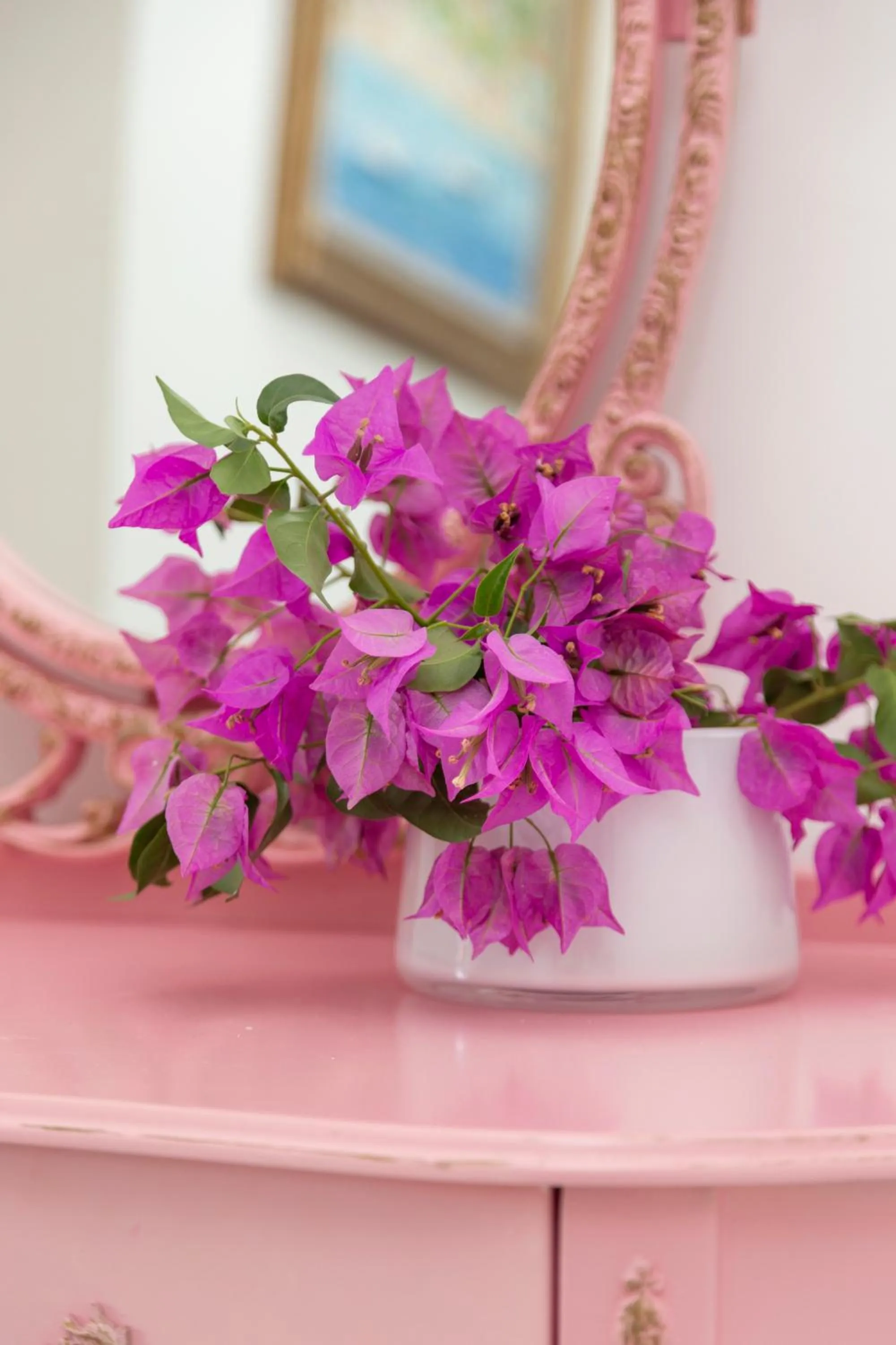 Sabrinas Haus - Adult Only +14