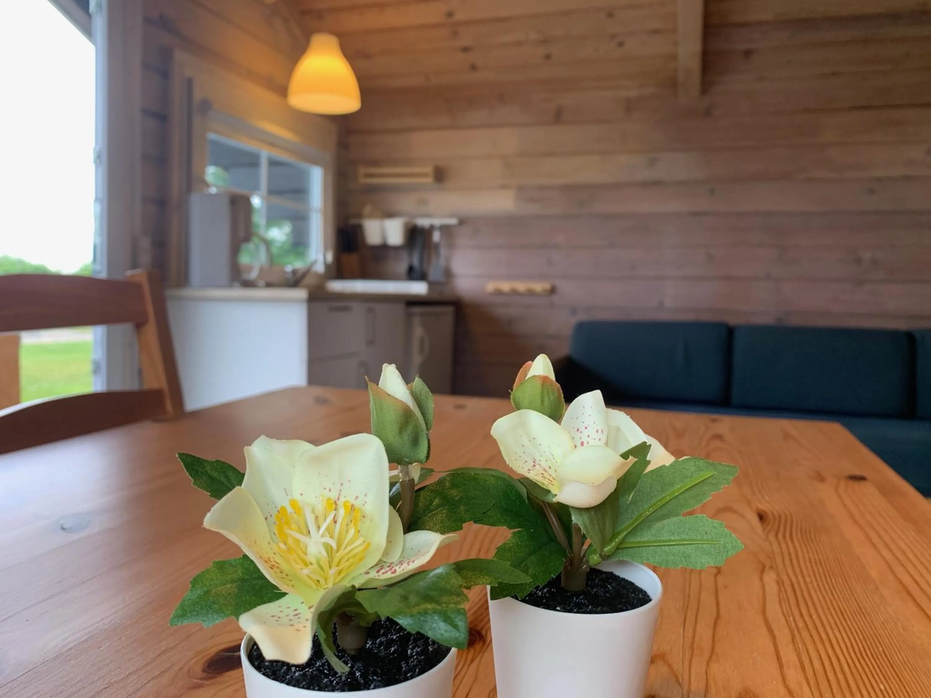 Løkken Family Camping & Guesthouse