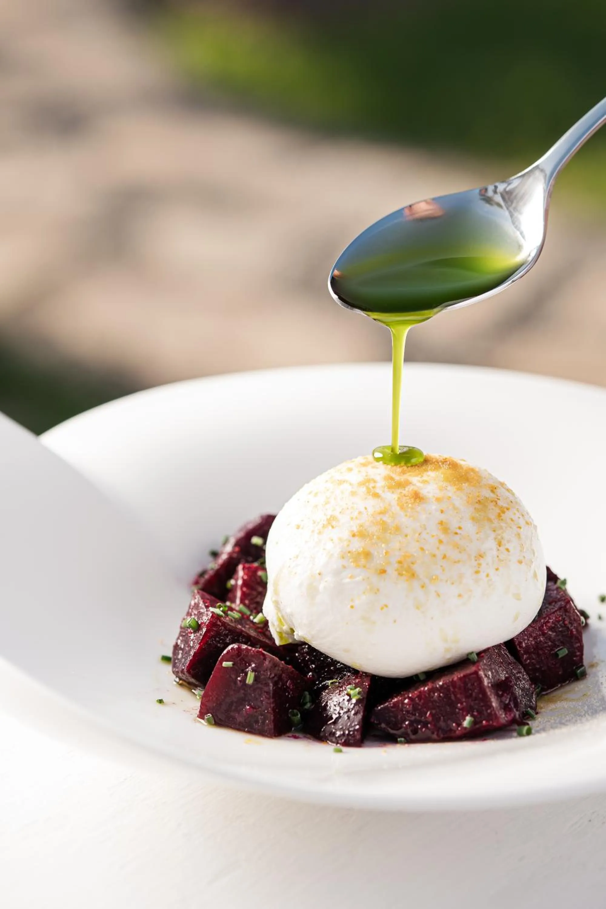 Blue Carpet Luxury Suites