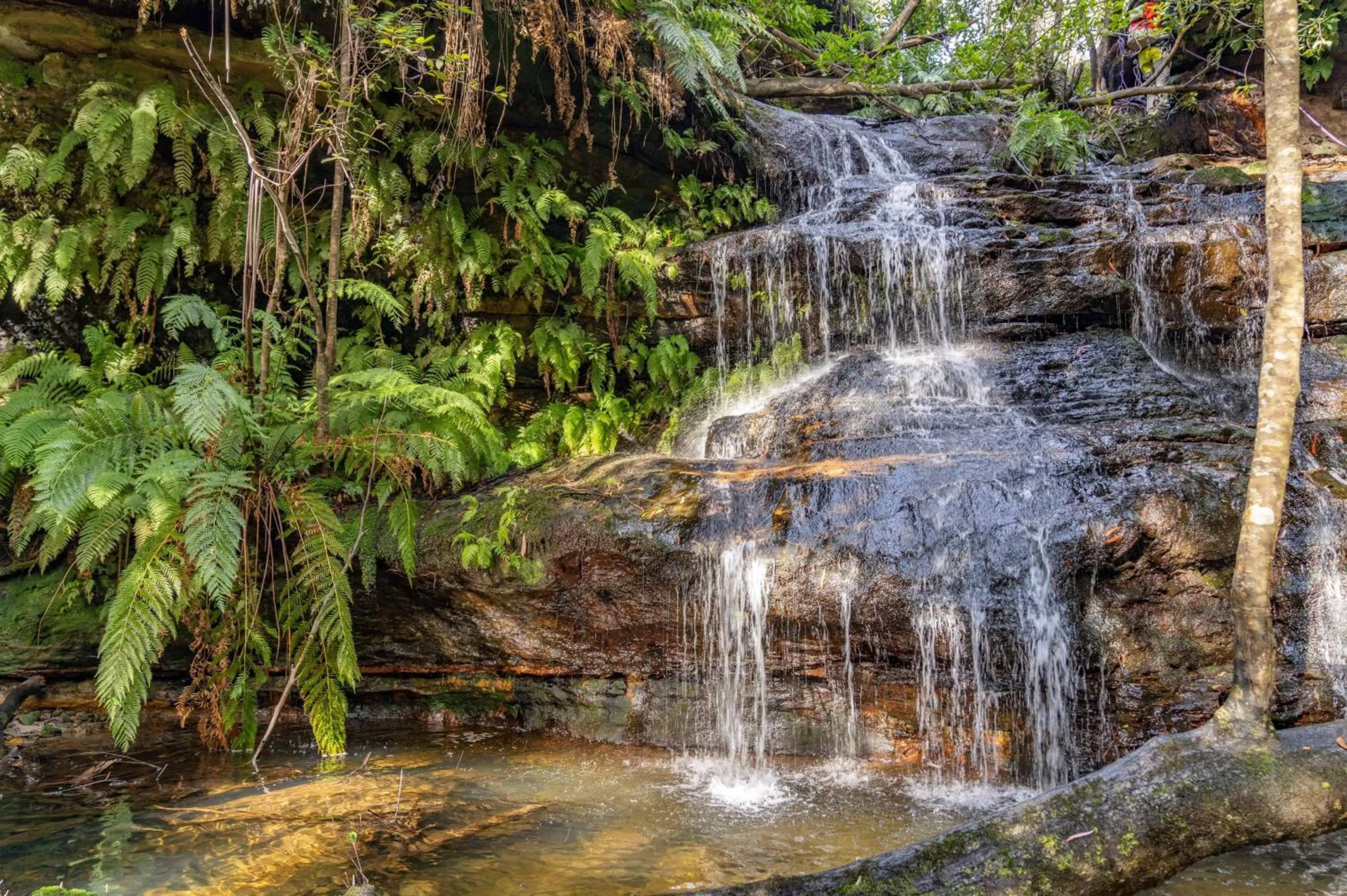 Area and facilities in Holiday Inn Sydney St Marys by IHG