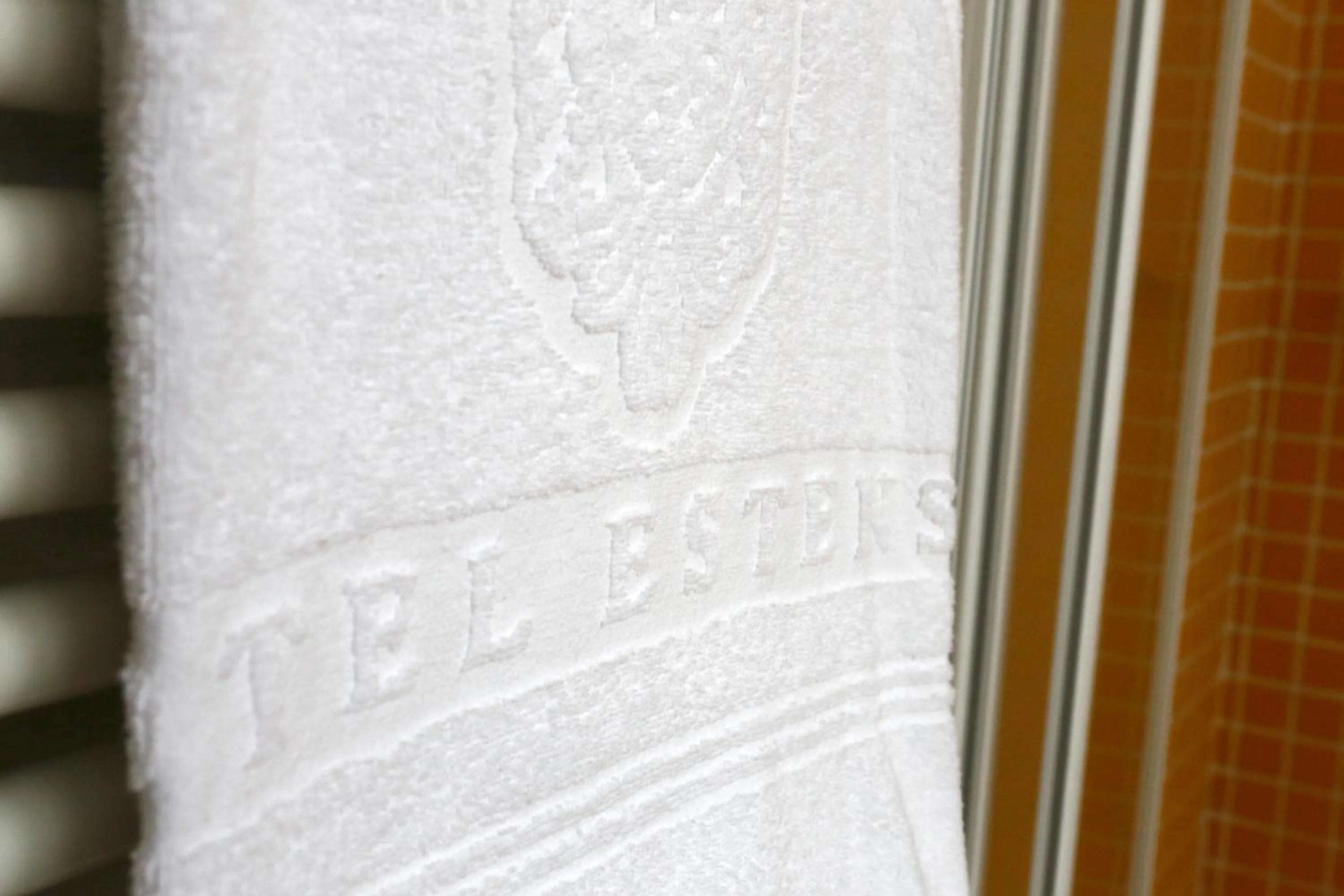 Decorative detail in Hotel Estense