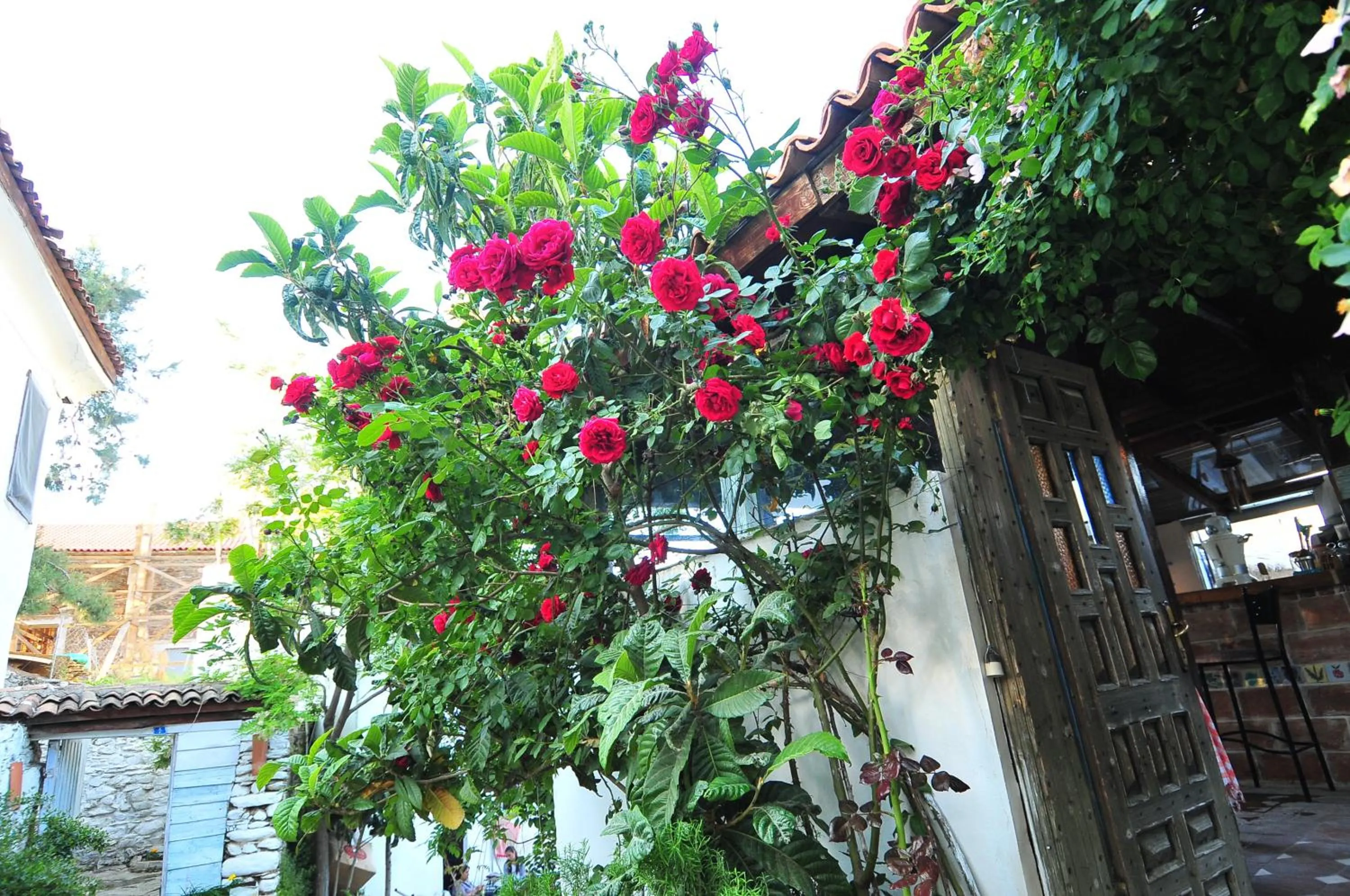 Property building in Kirkinca Hotel