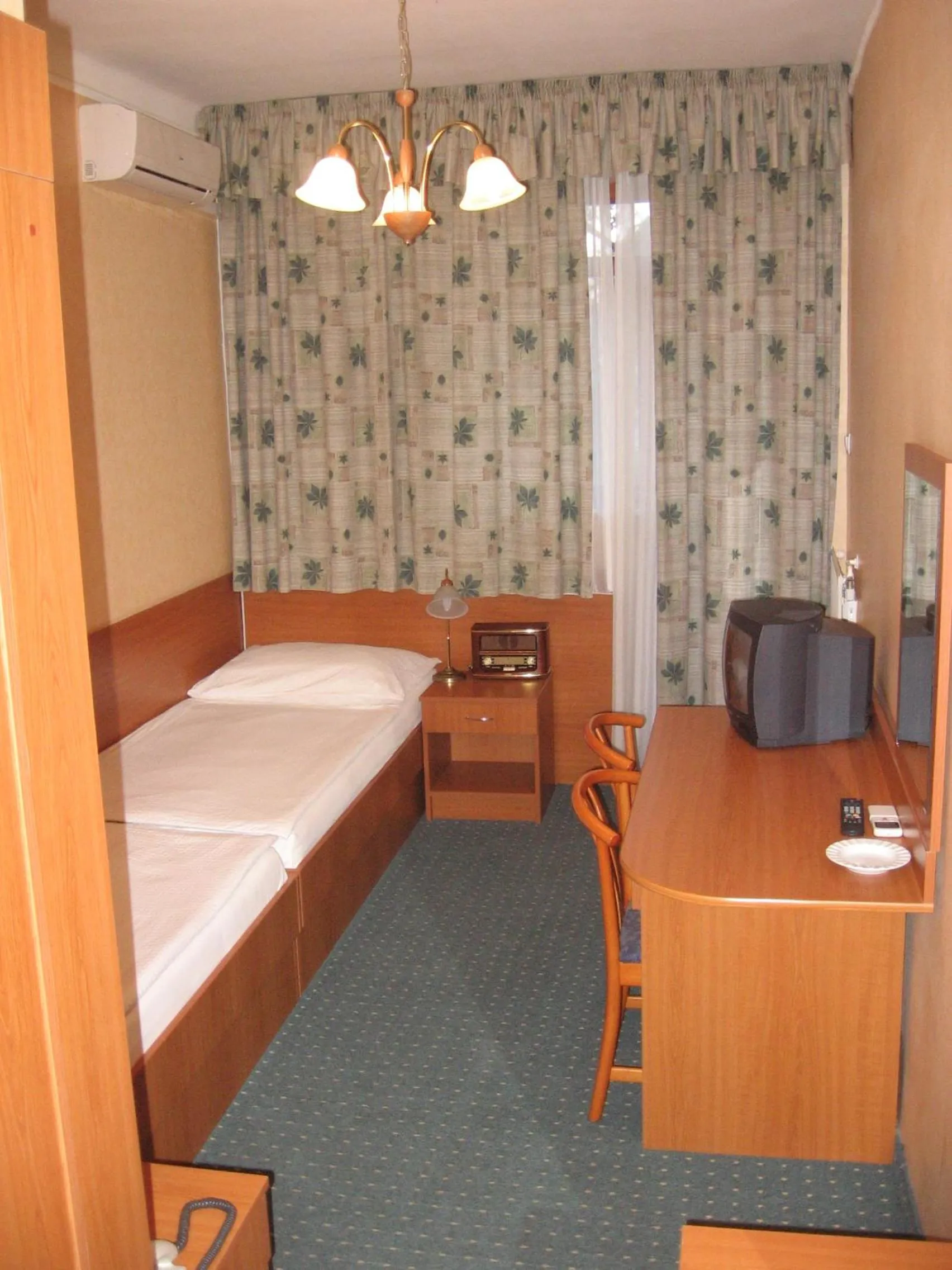 Single Room - single occupancy in Hotel Arnold