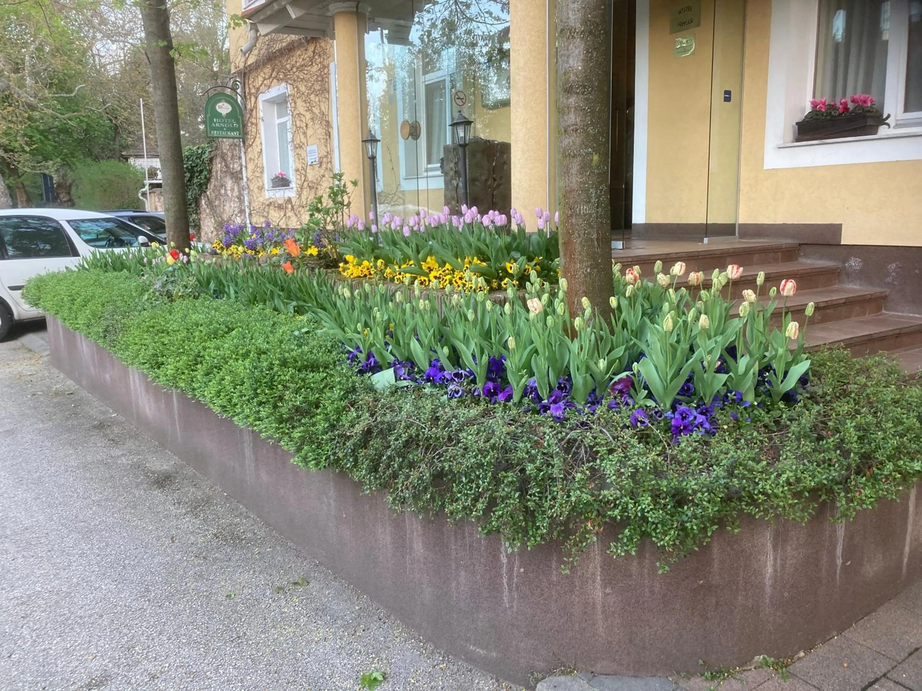 Spring in Hotel Arnold
