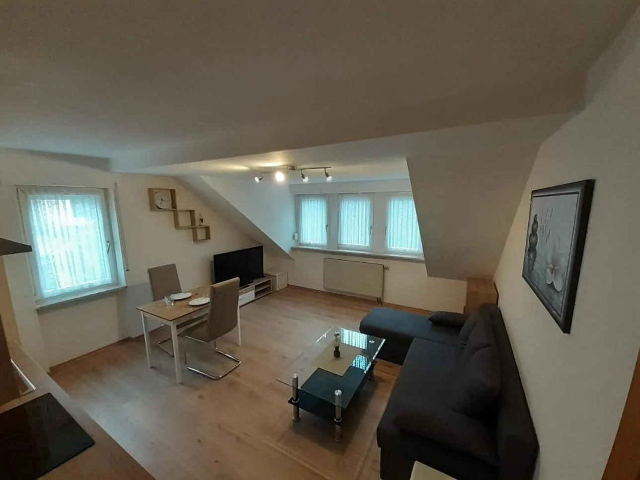 TV and multimedia in Ferienwohnung Viktoria