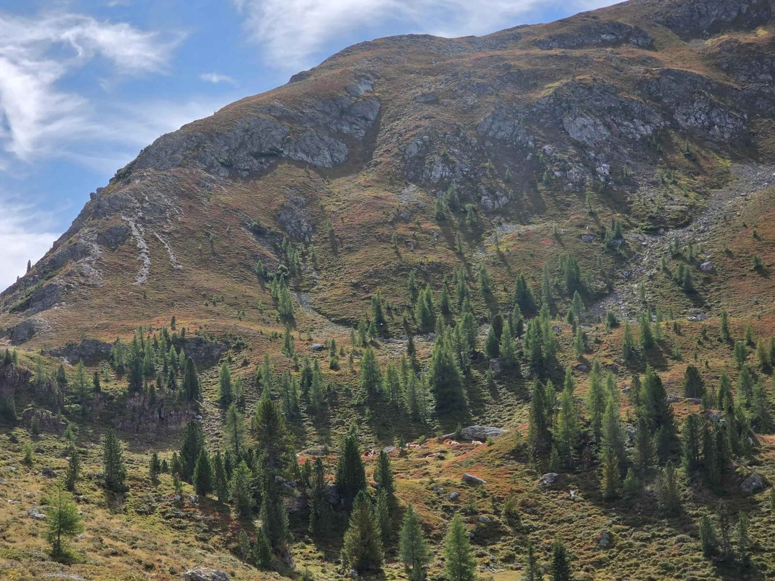 Nearby landmark in Hotel Restaurant Raunig