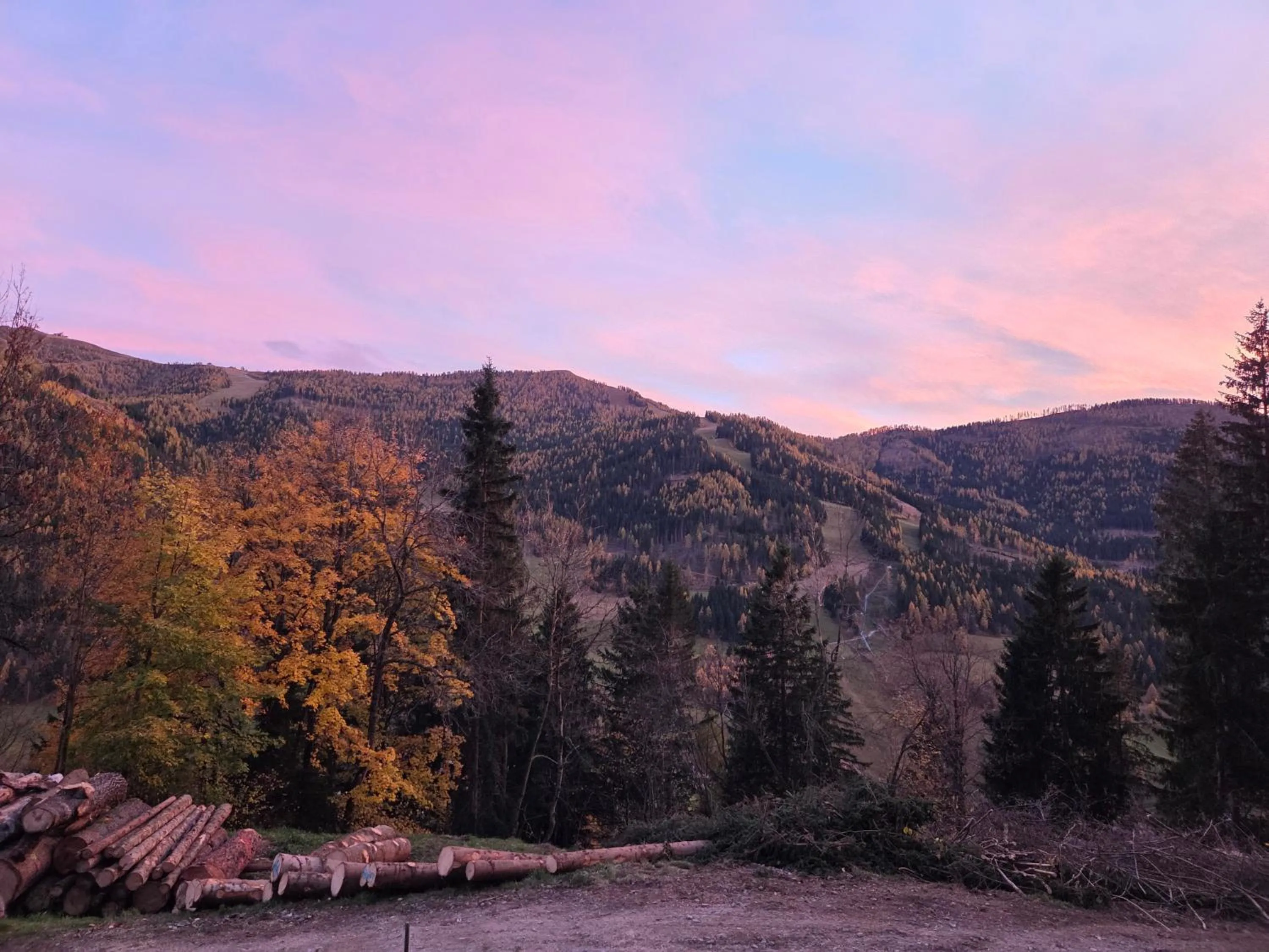 Natural landscape in Hotel Restaurant Raunig