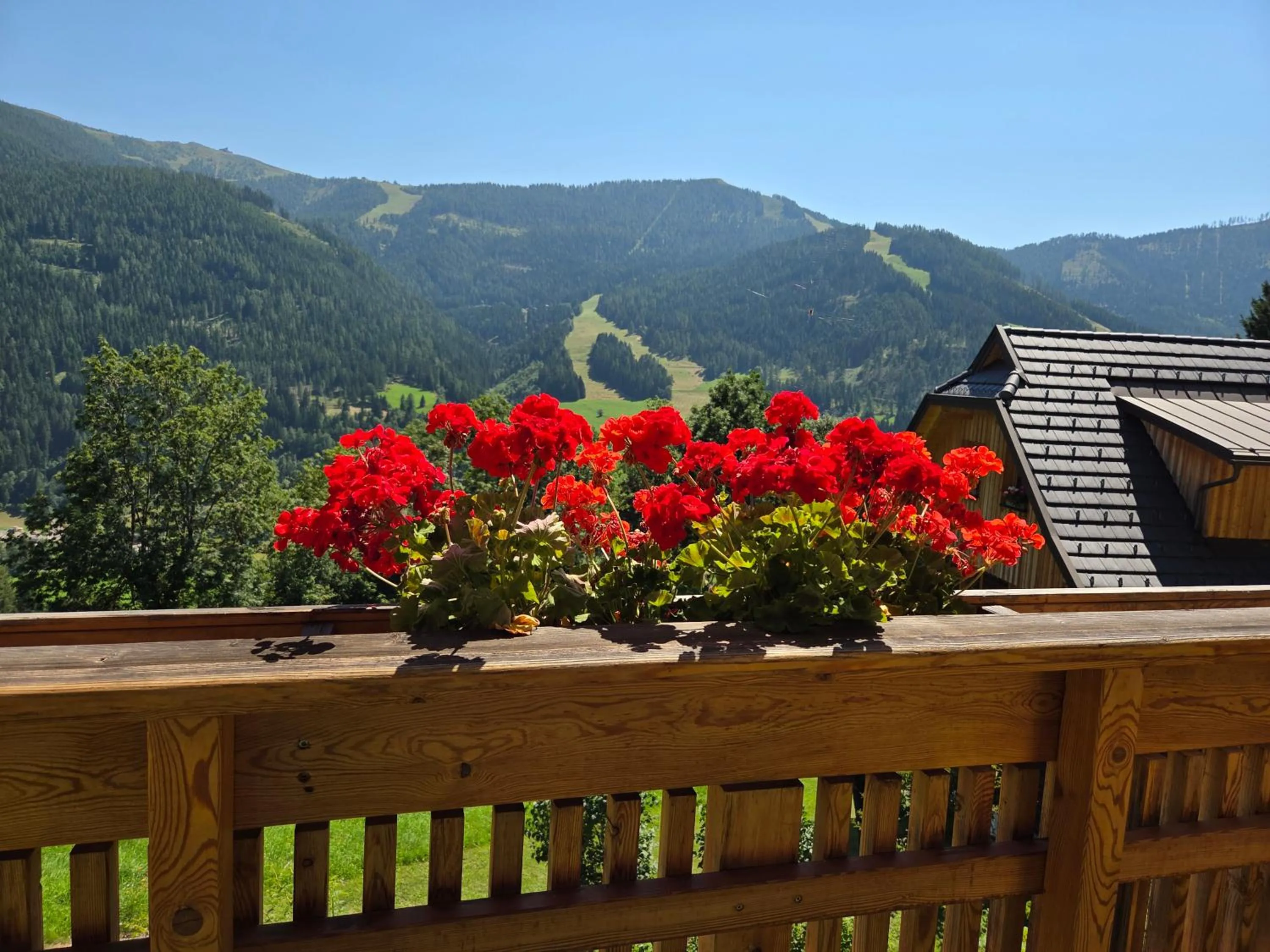 Spring in Hotel Restaurant Raunig