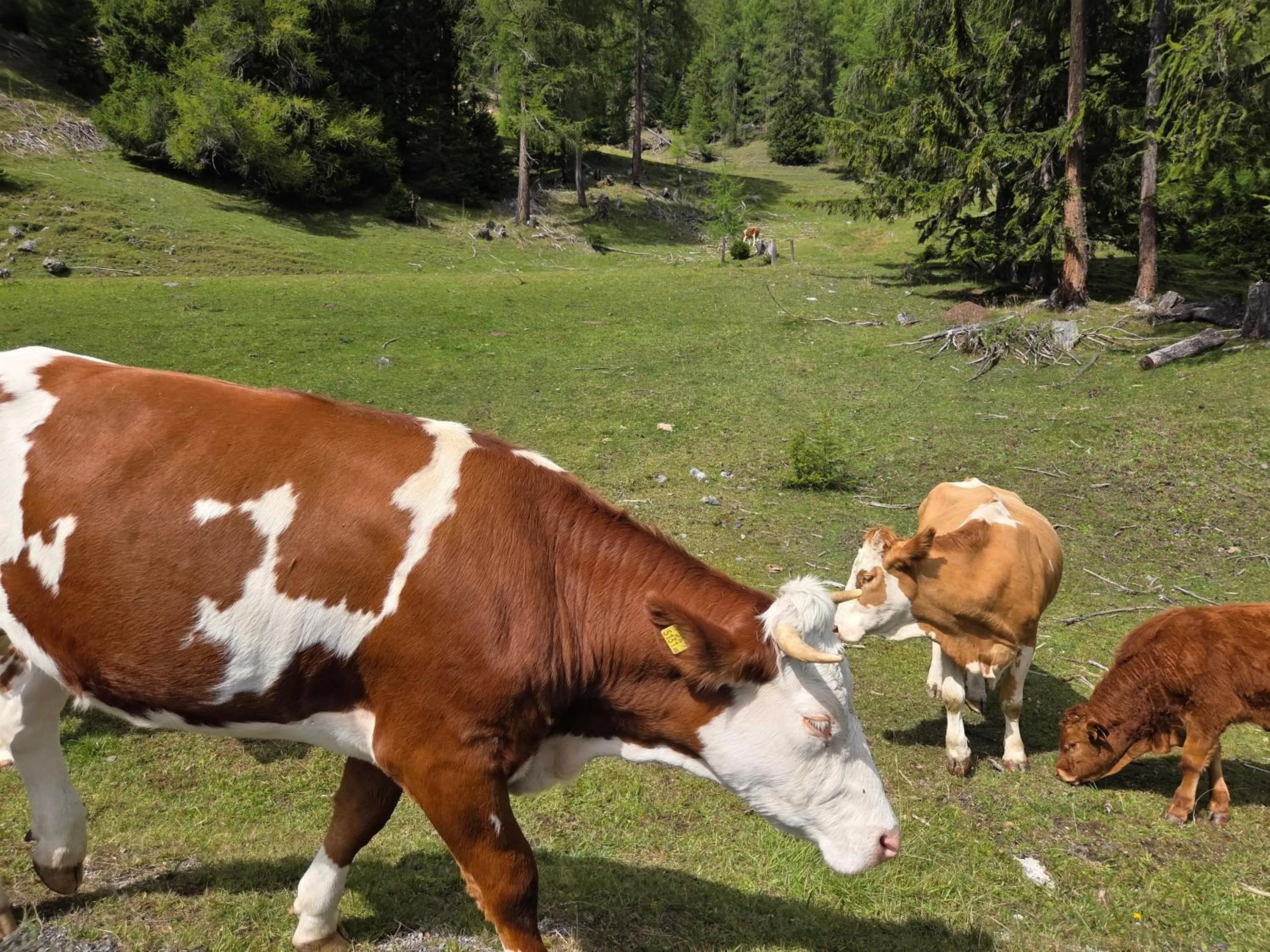 Day in Hotel Restaurant Raunig