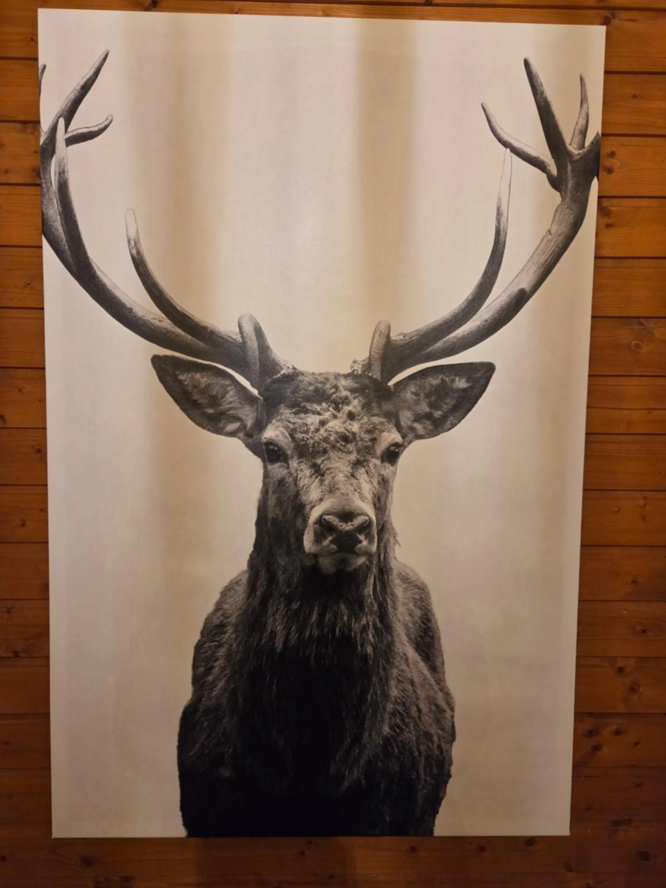 Decorative detail in Hotel Restaurant Raunig