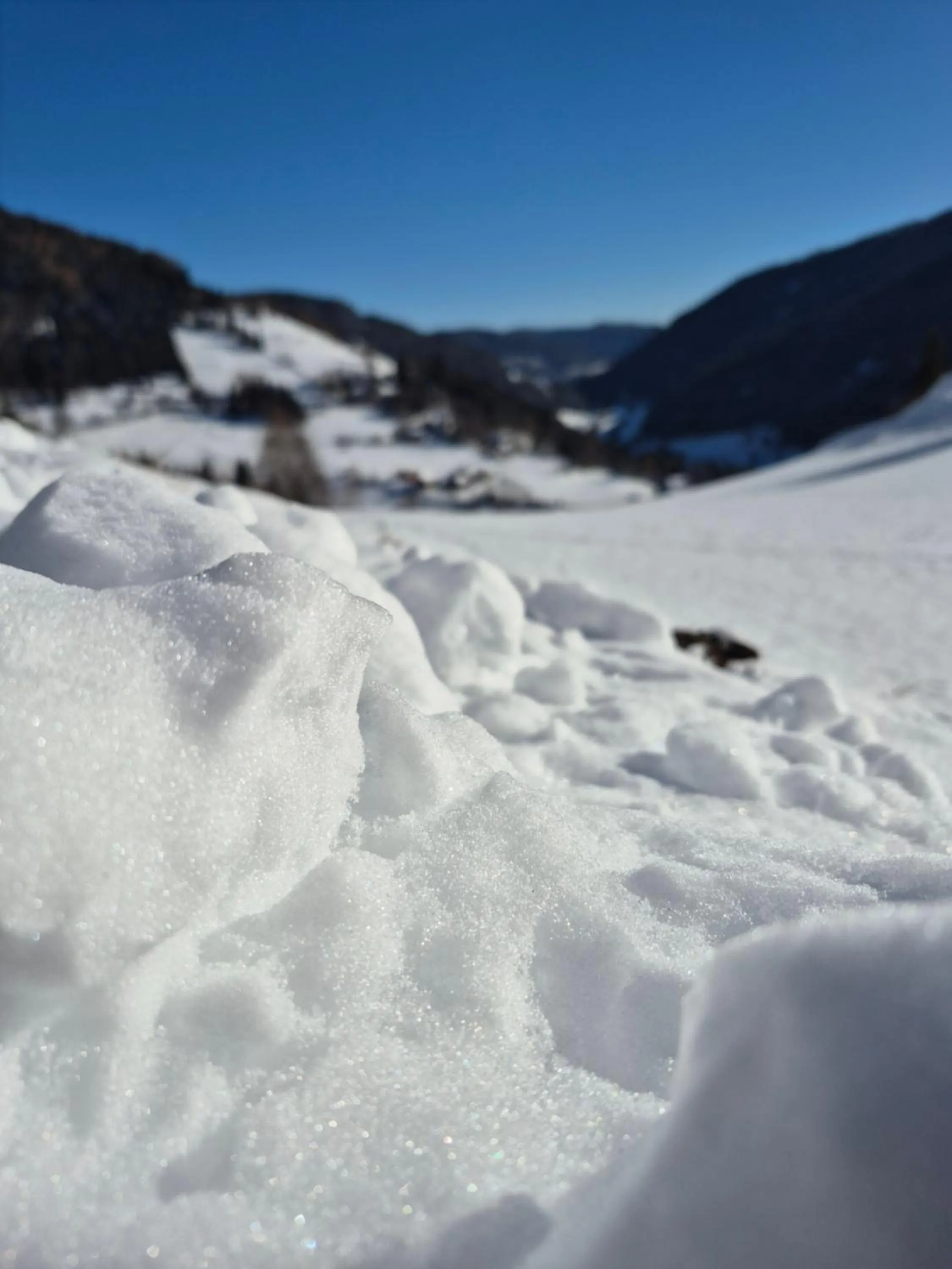 Day in Hotel Restaurant Raunig