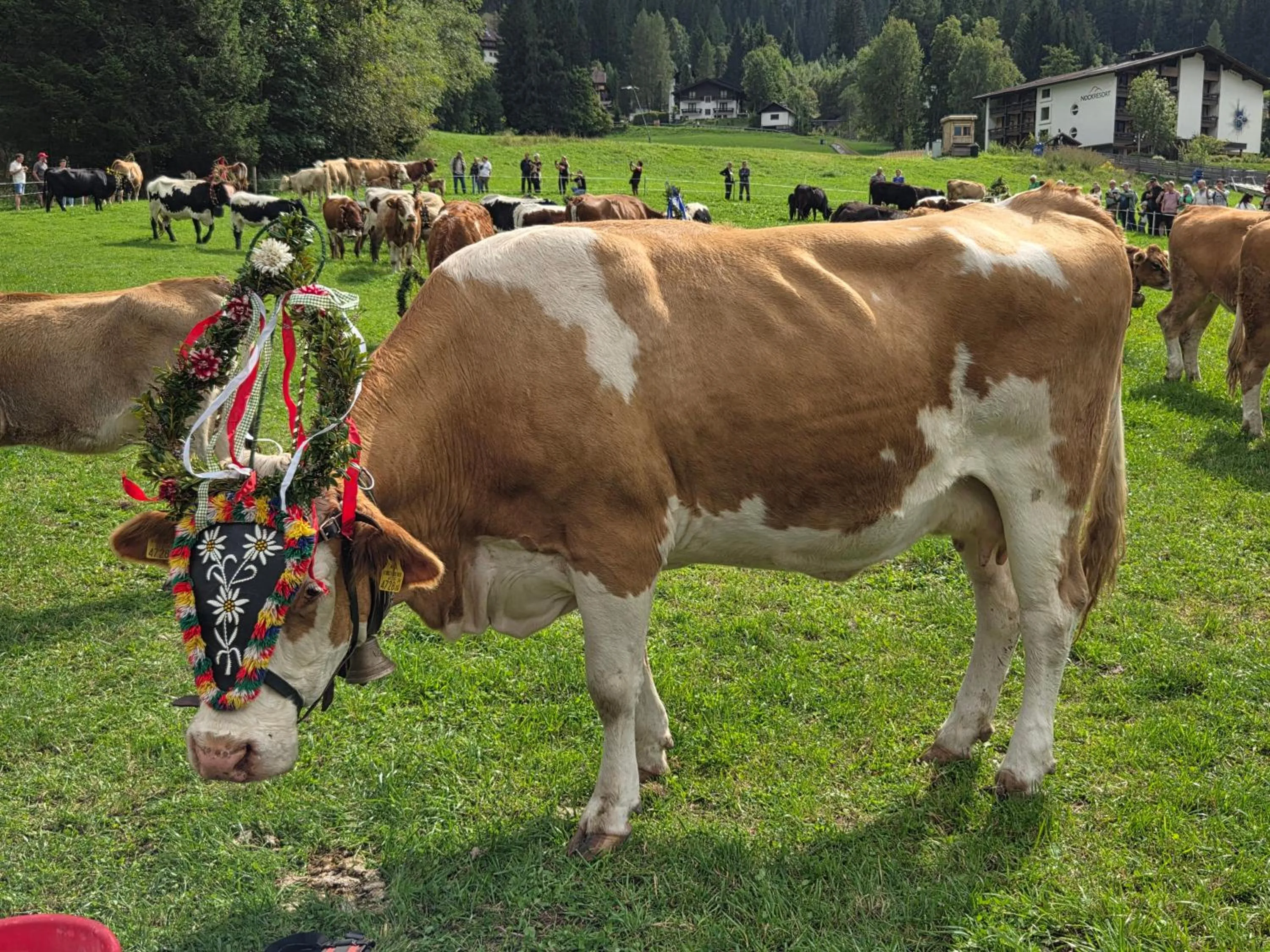 Day in Hotel Restaurant Raunig