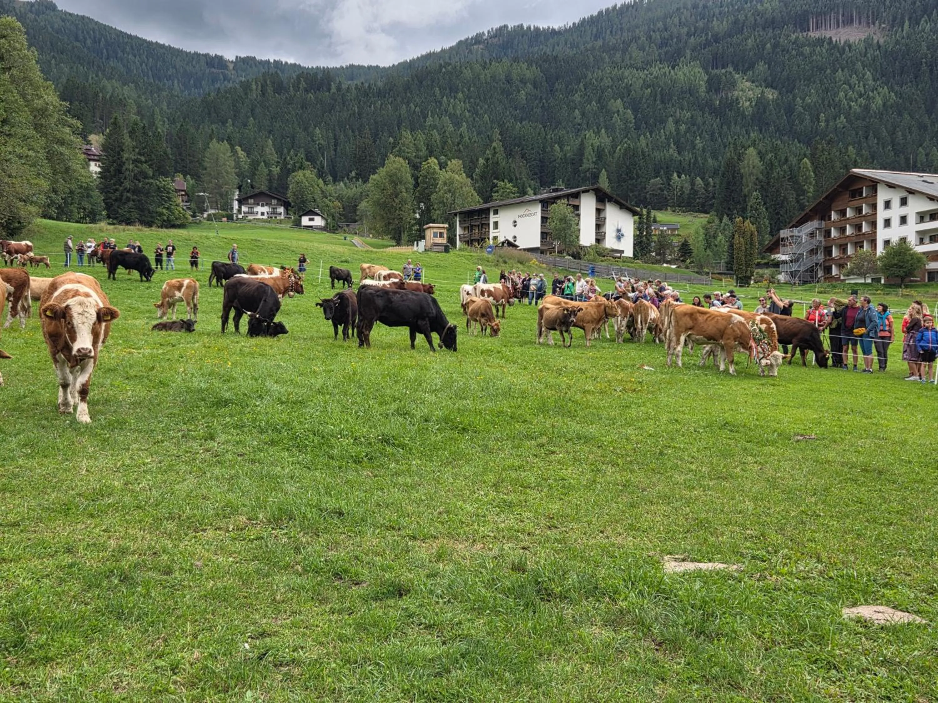 Day in Hotel Restaurant Raunig