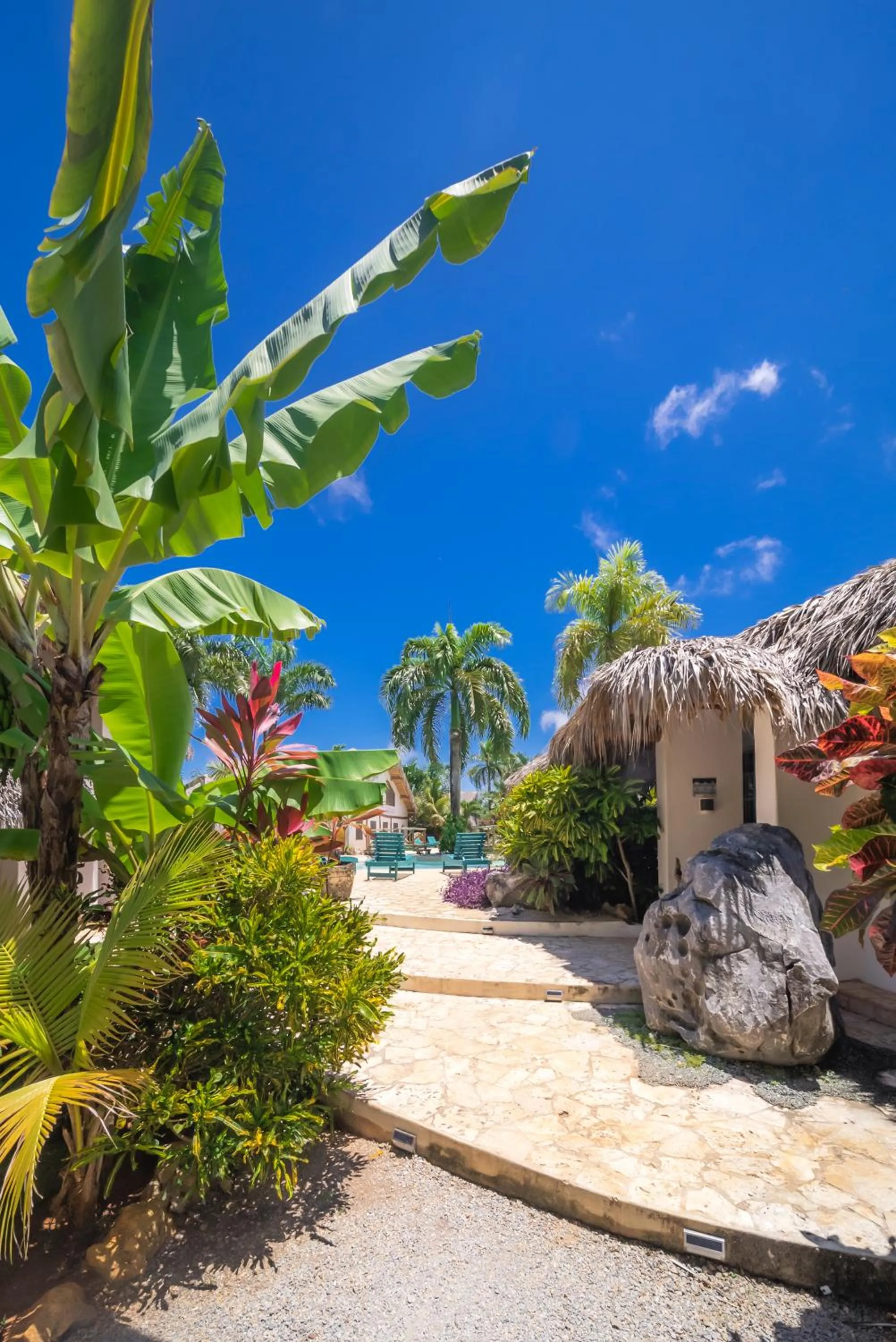 Day in Paradiso del Caribe