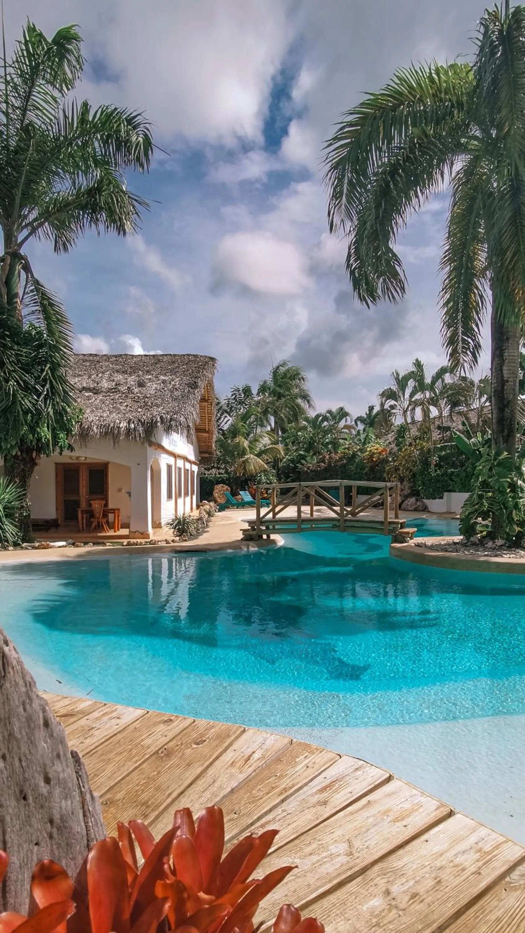 Garden in Paradiso del Caribe