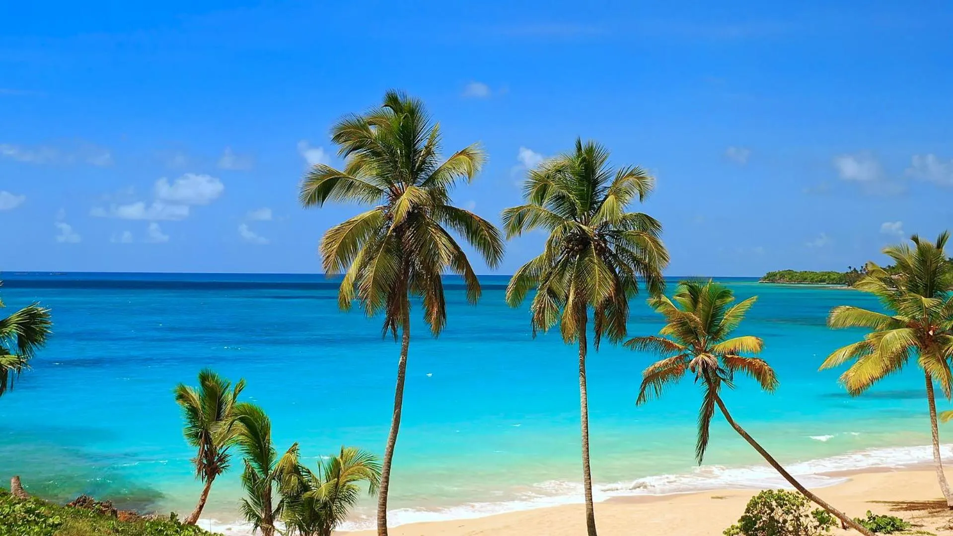 Nearby landmark in Paradiso del Caribe