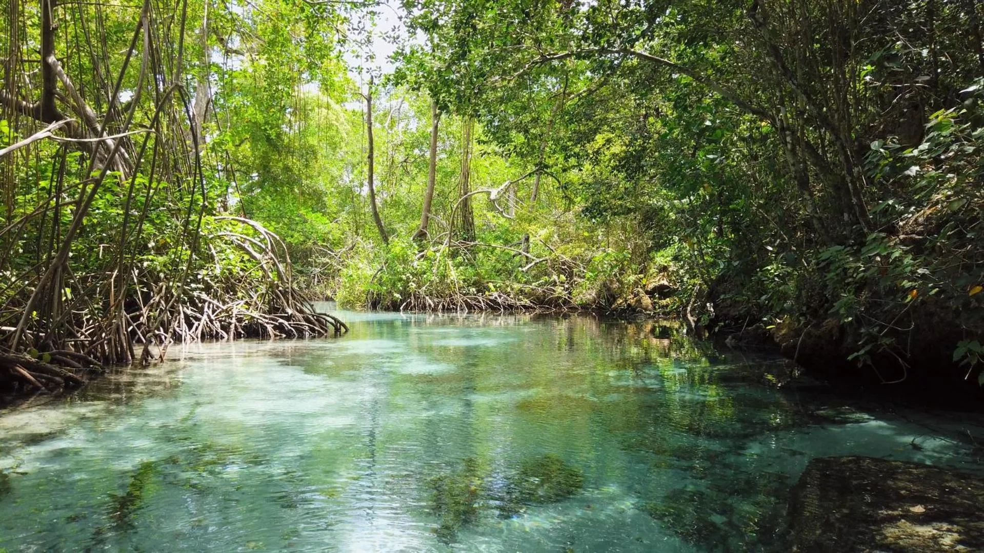 Nearby landmark in Paradiso del Caribe