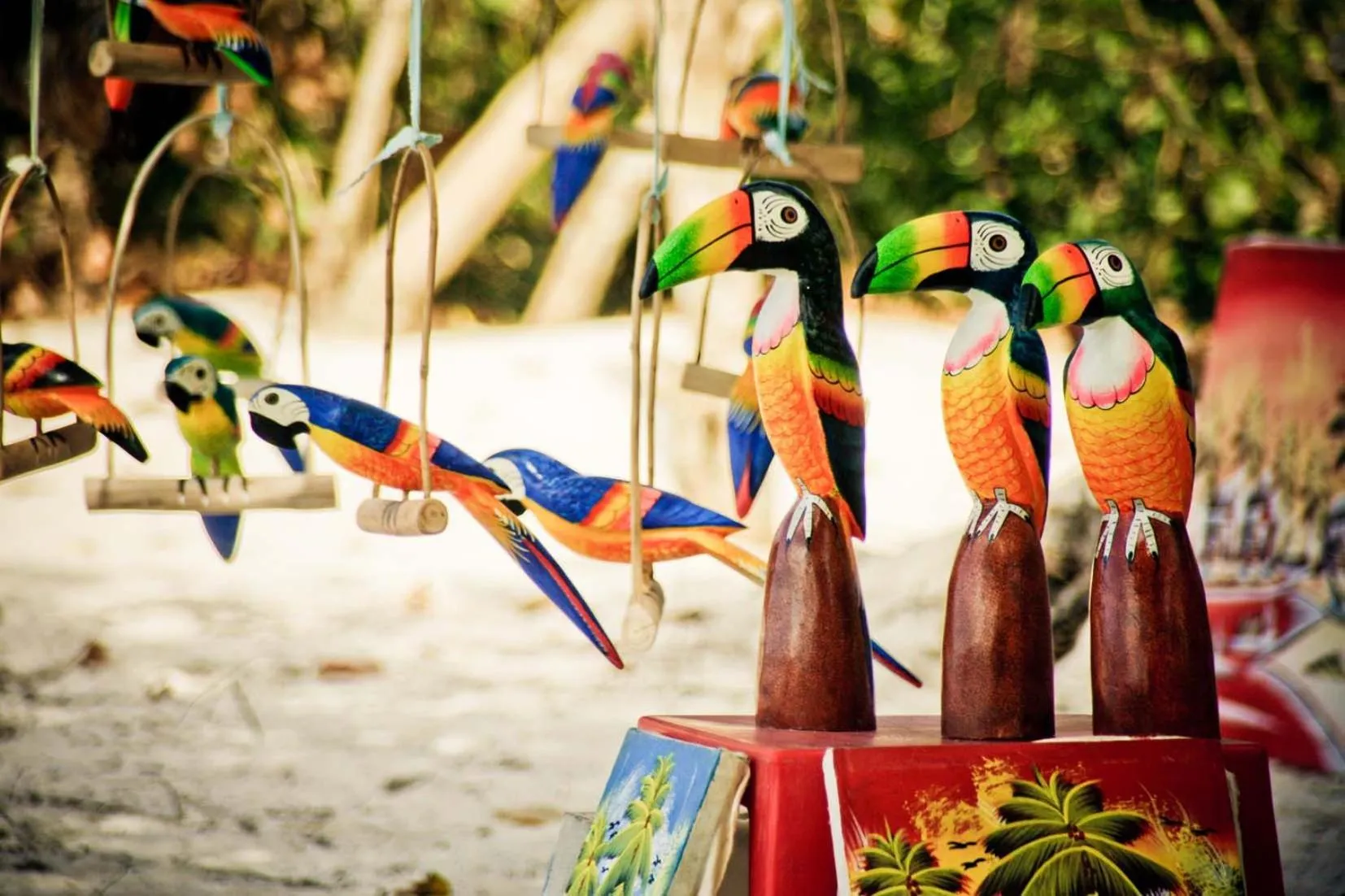 Animals in Paradiso del Caribe